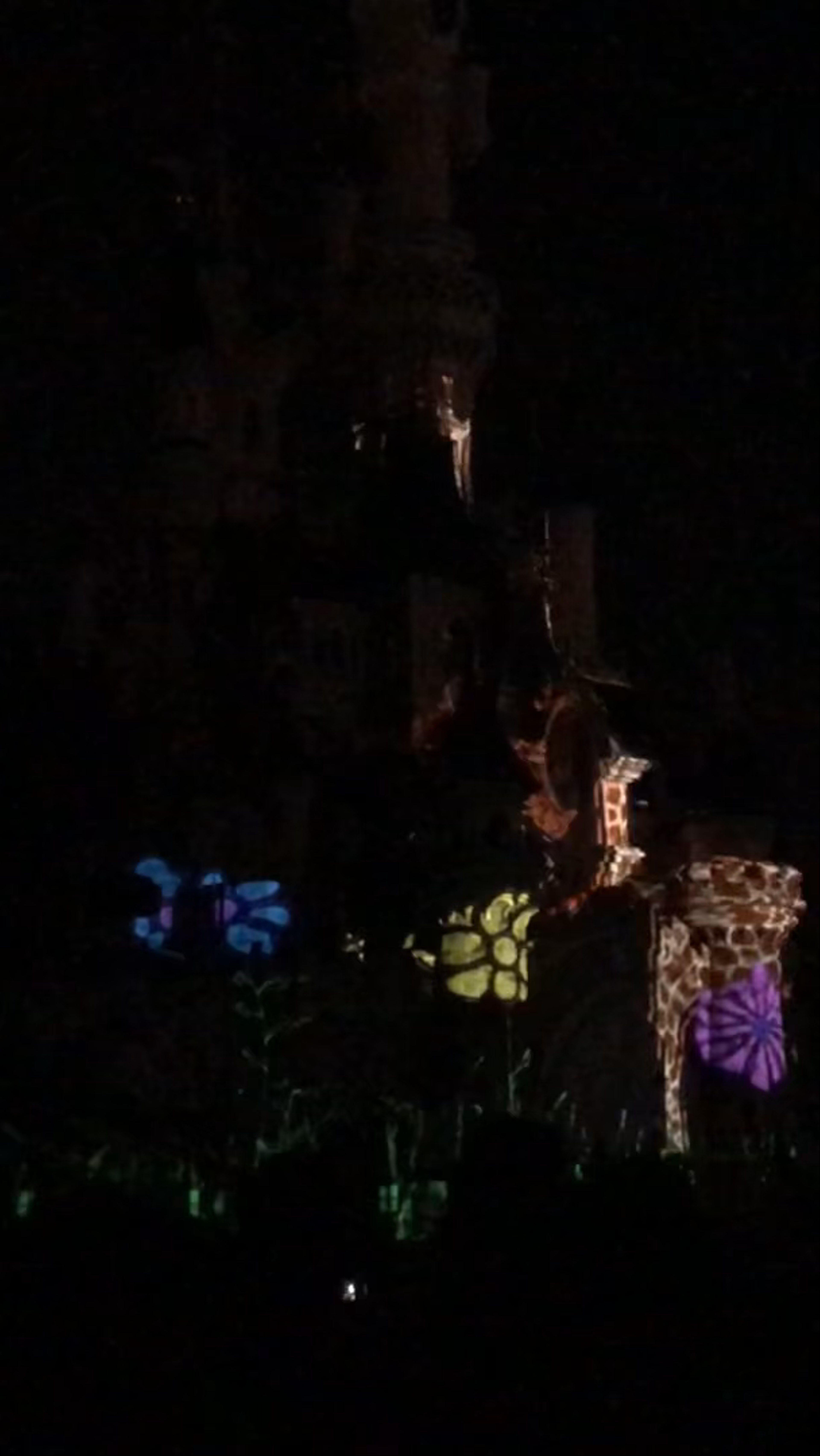 Disneyland Paris Nighttime Castle Light Show