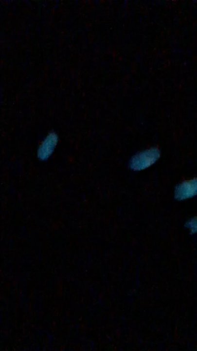 Charming Nailbar - This is a clip that shows them glowing in the dark. A $20 difference for acrylic that takes them the same effort to put on. - Nail Salons Near Me - Pasadena, Texas