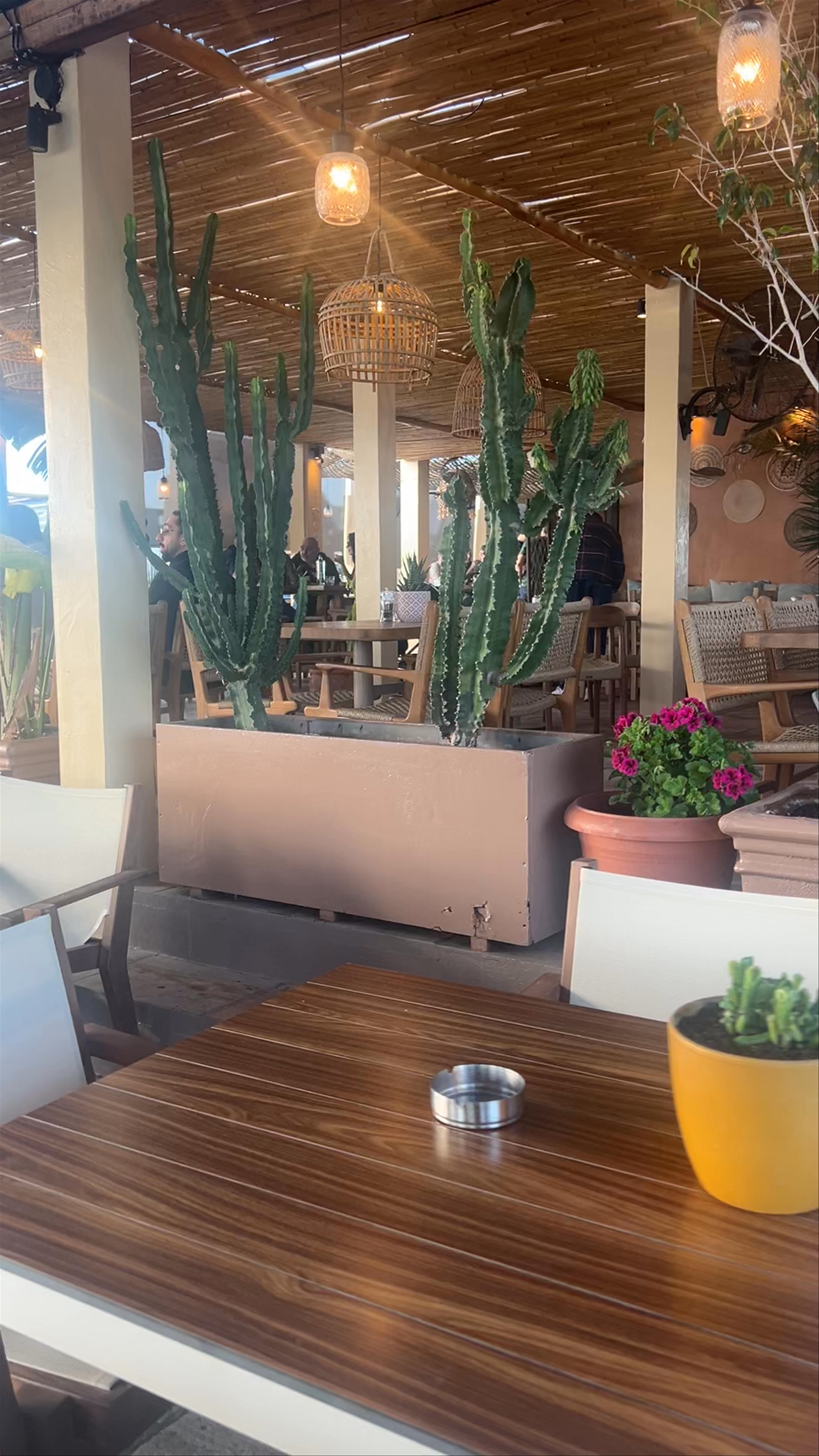 Isalos Beach Club