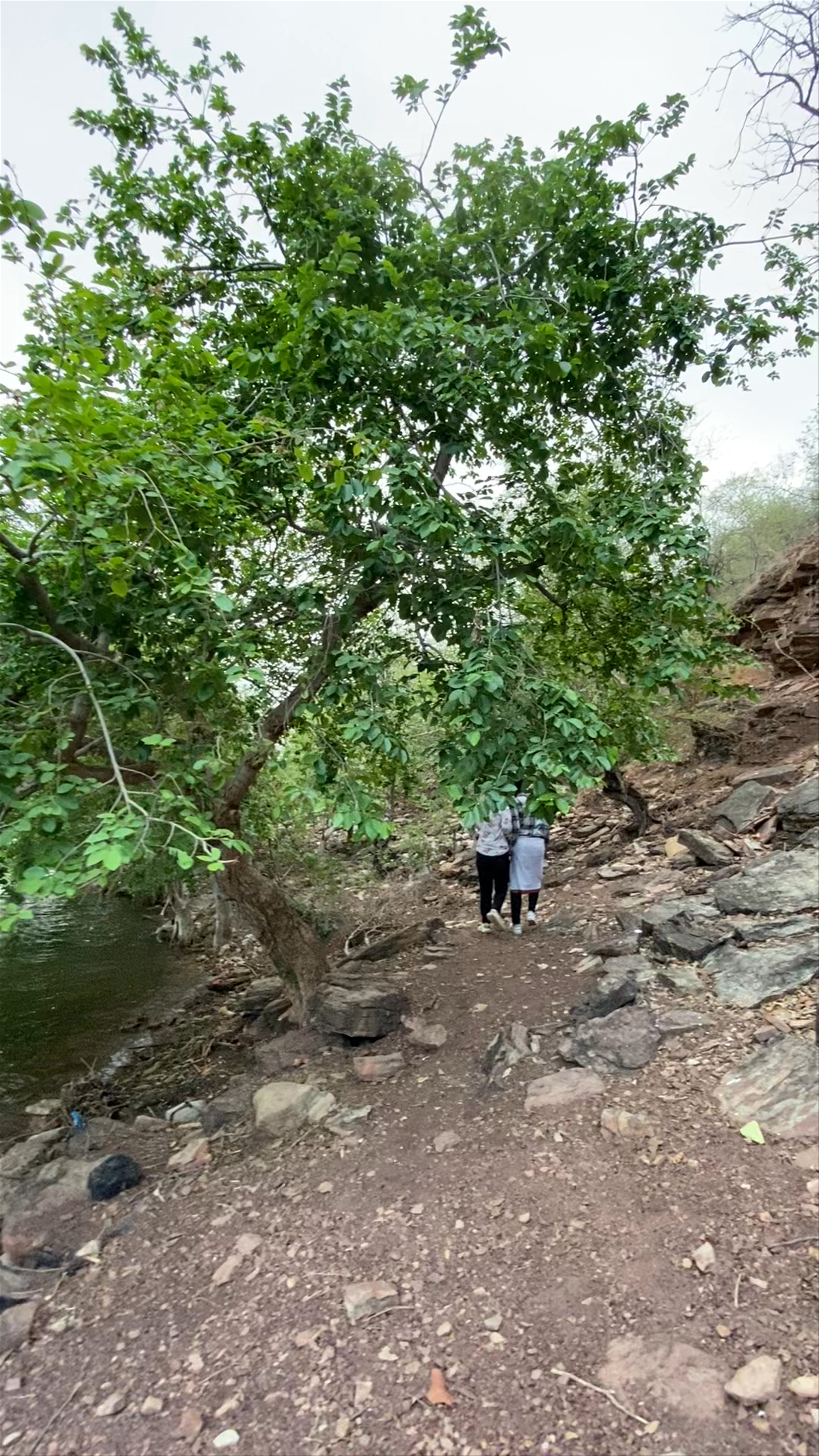 Serene Waters at Mendki Mahadev Cave, Balapura, Rajasthan