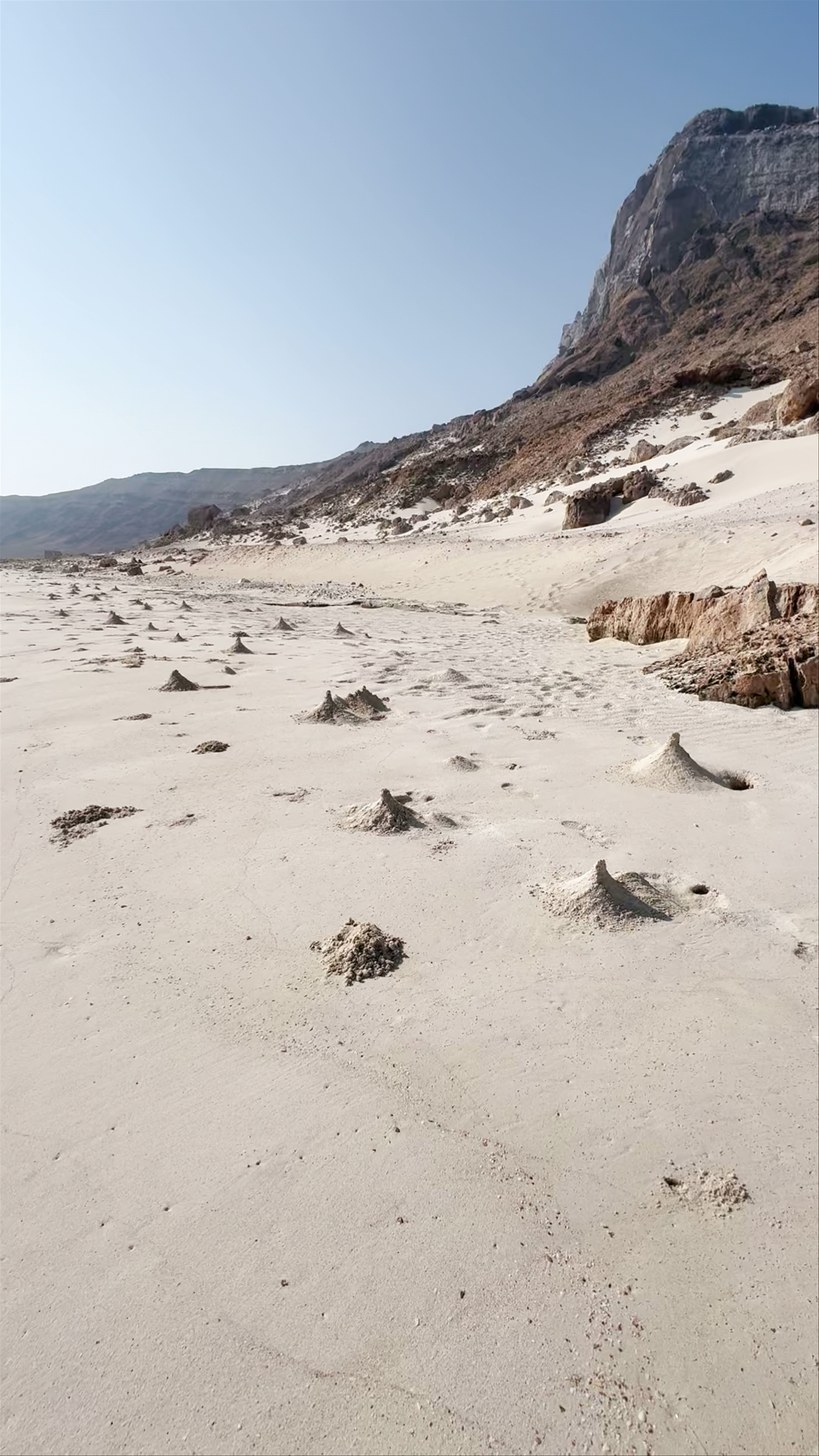 شاطئ موري - Murray Beach، Mori