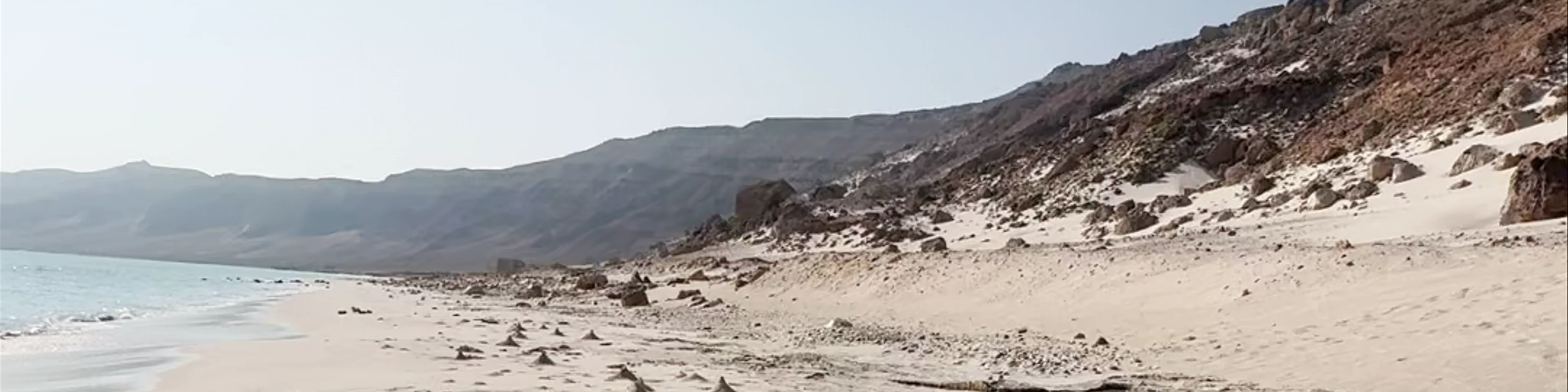 شاطئ موري - Murray Beach، Mori
