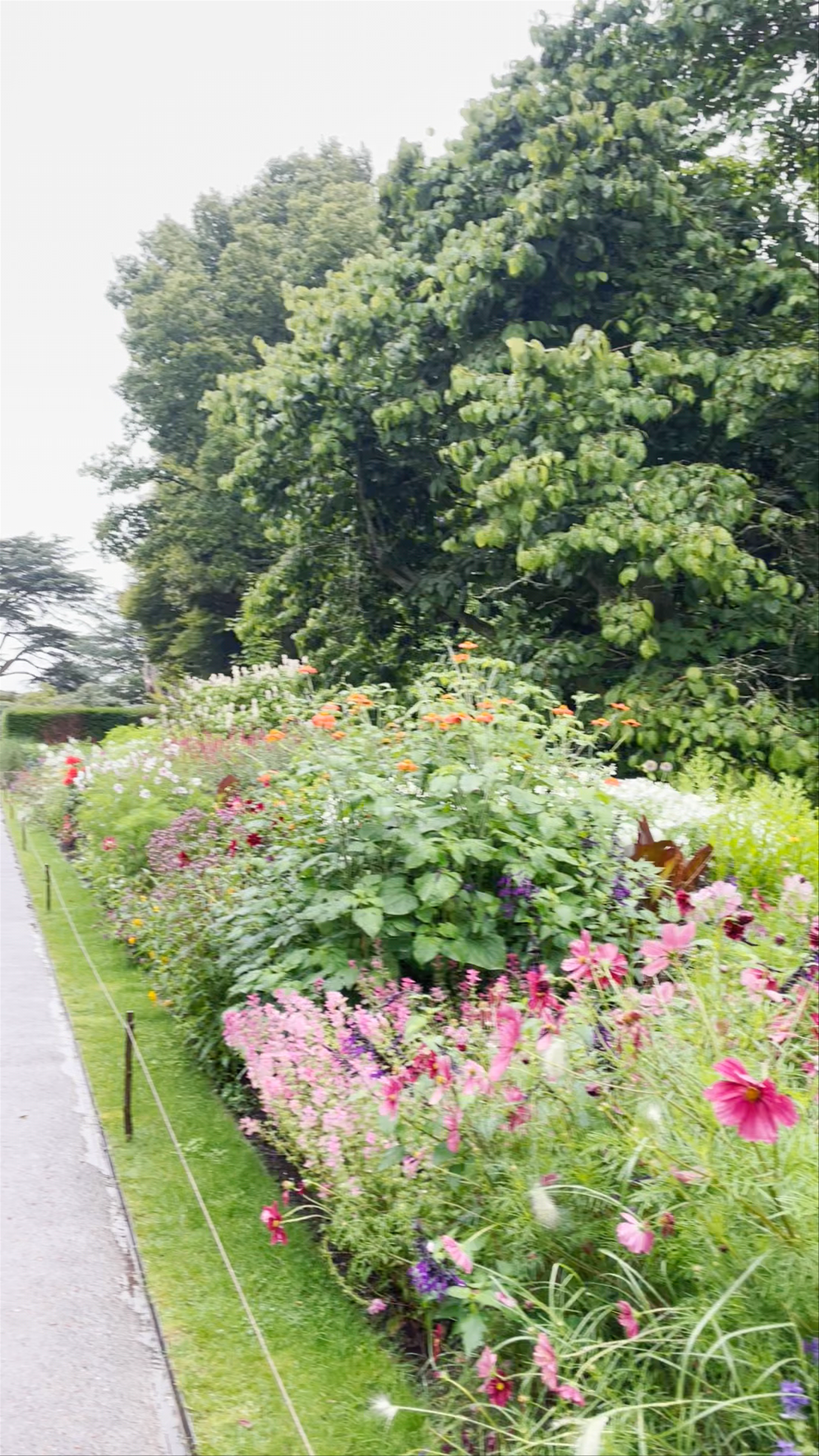 Nymans Garden: A Lush English Countryside Escape