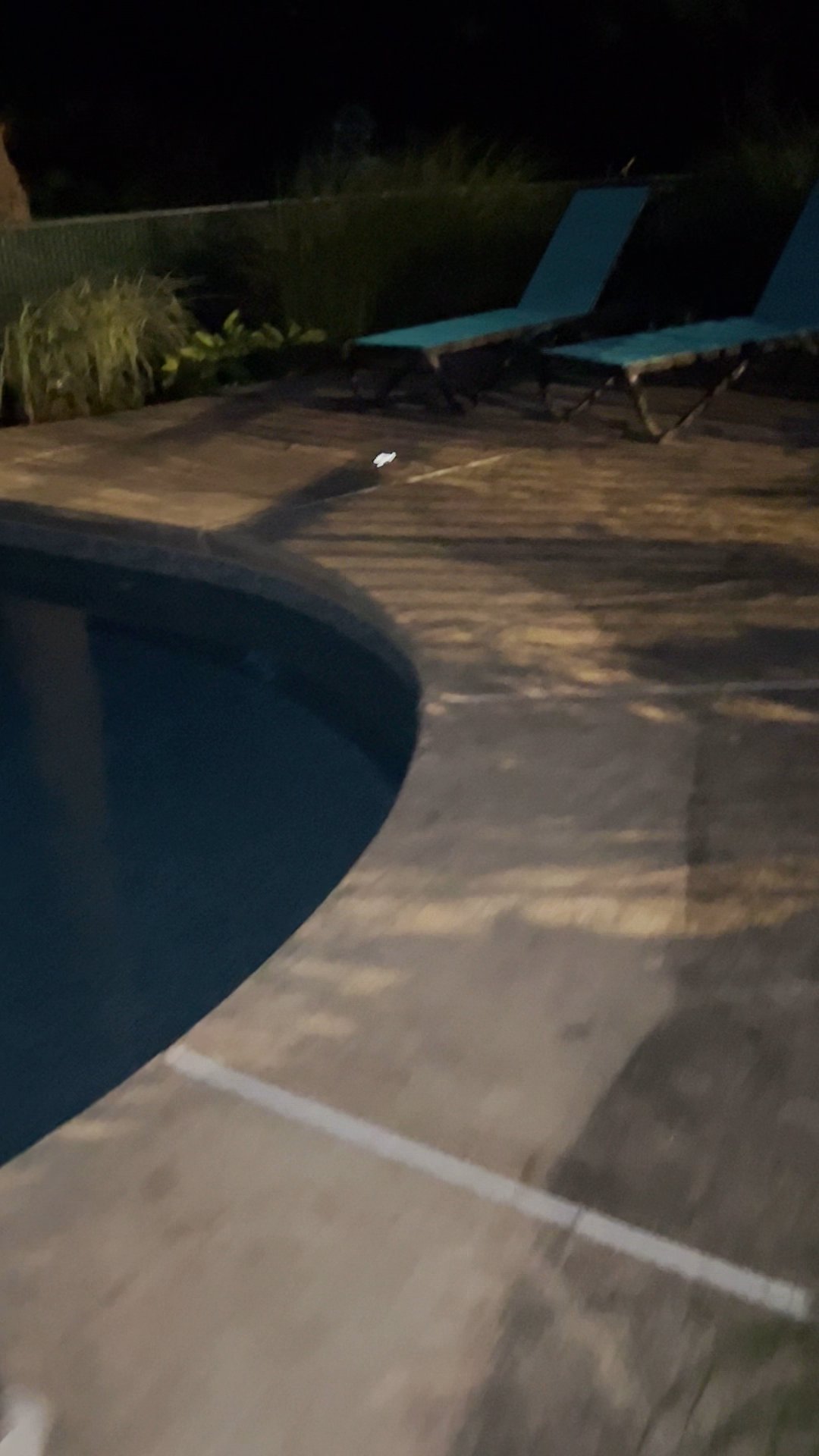 Listing photo-2