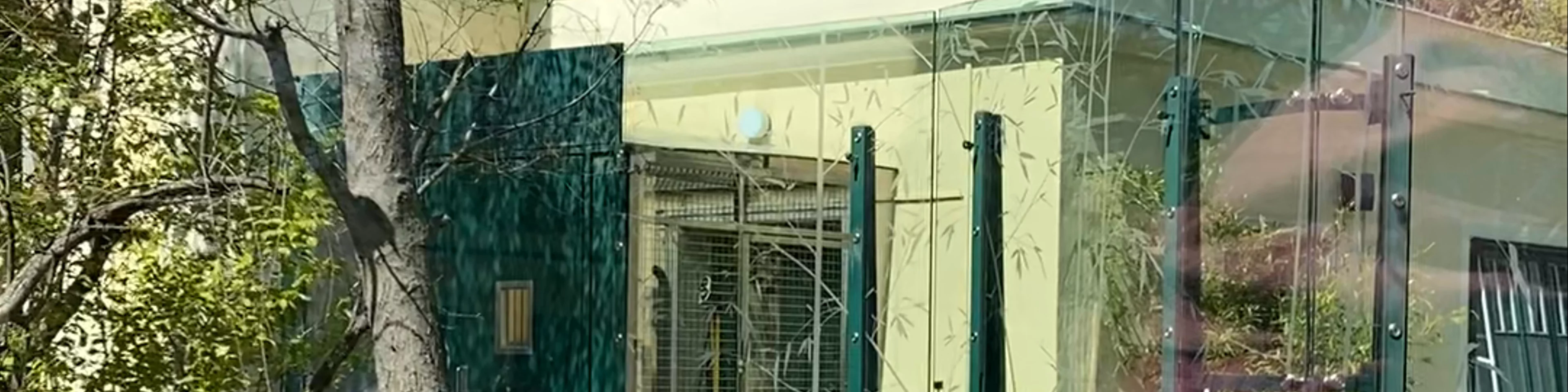 Schönbrunn Zoo