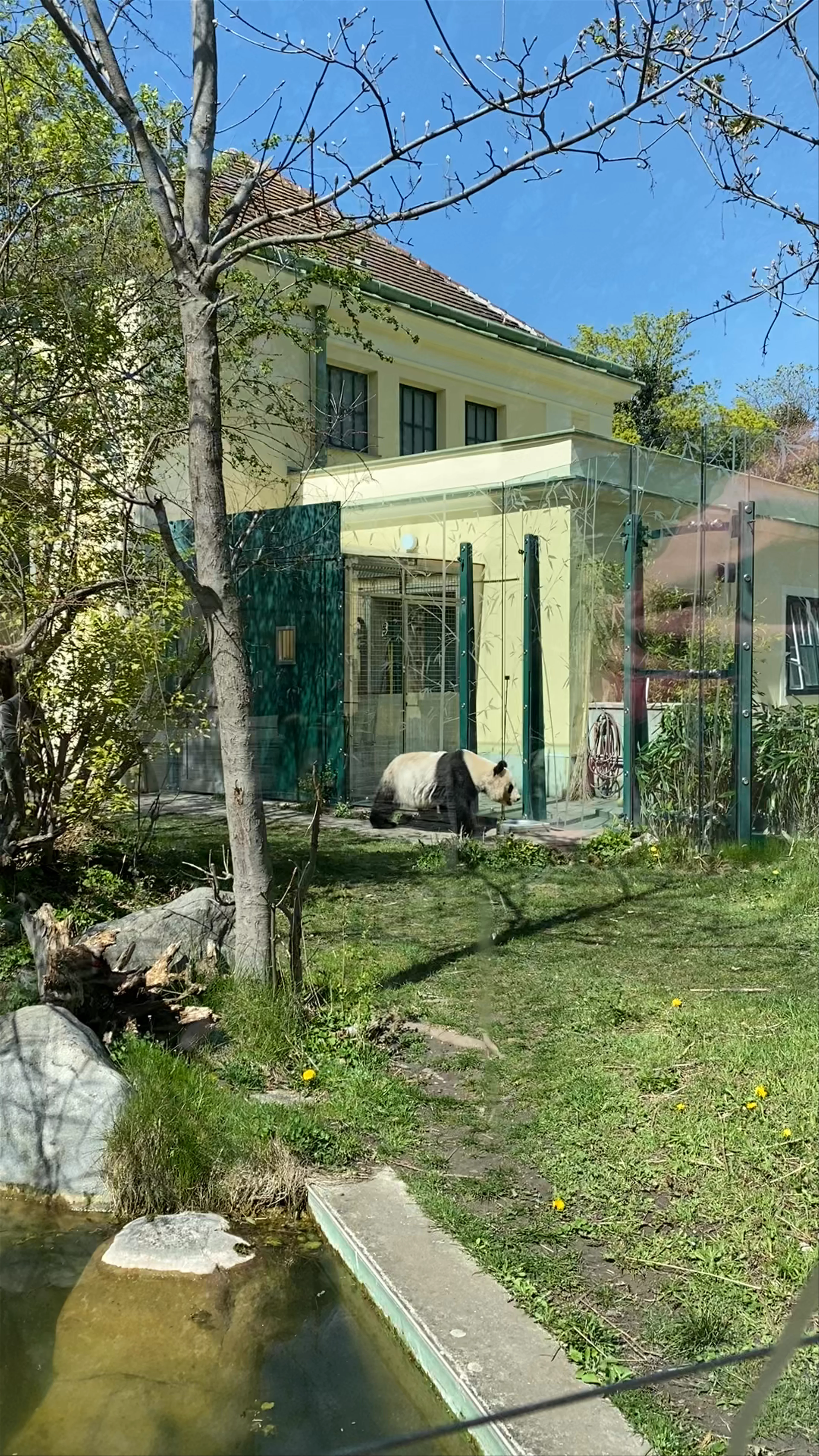 Schönbrunn Zoo, Maxingstraße, Vienna, Austria