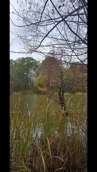 Starkey Marina - Boating Near Me - Eureka Springs, Arkansas