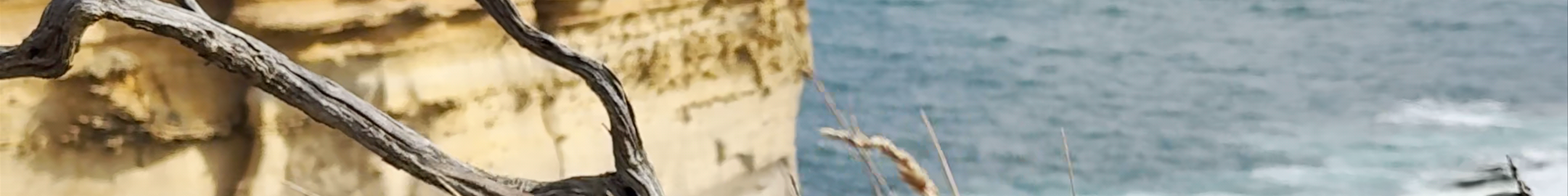 Tours & experiences in Port Campbell