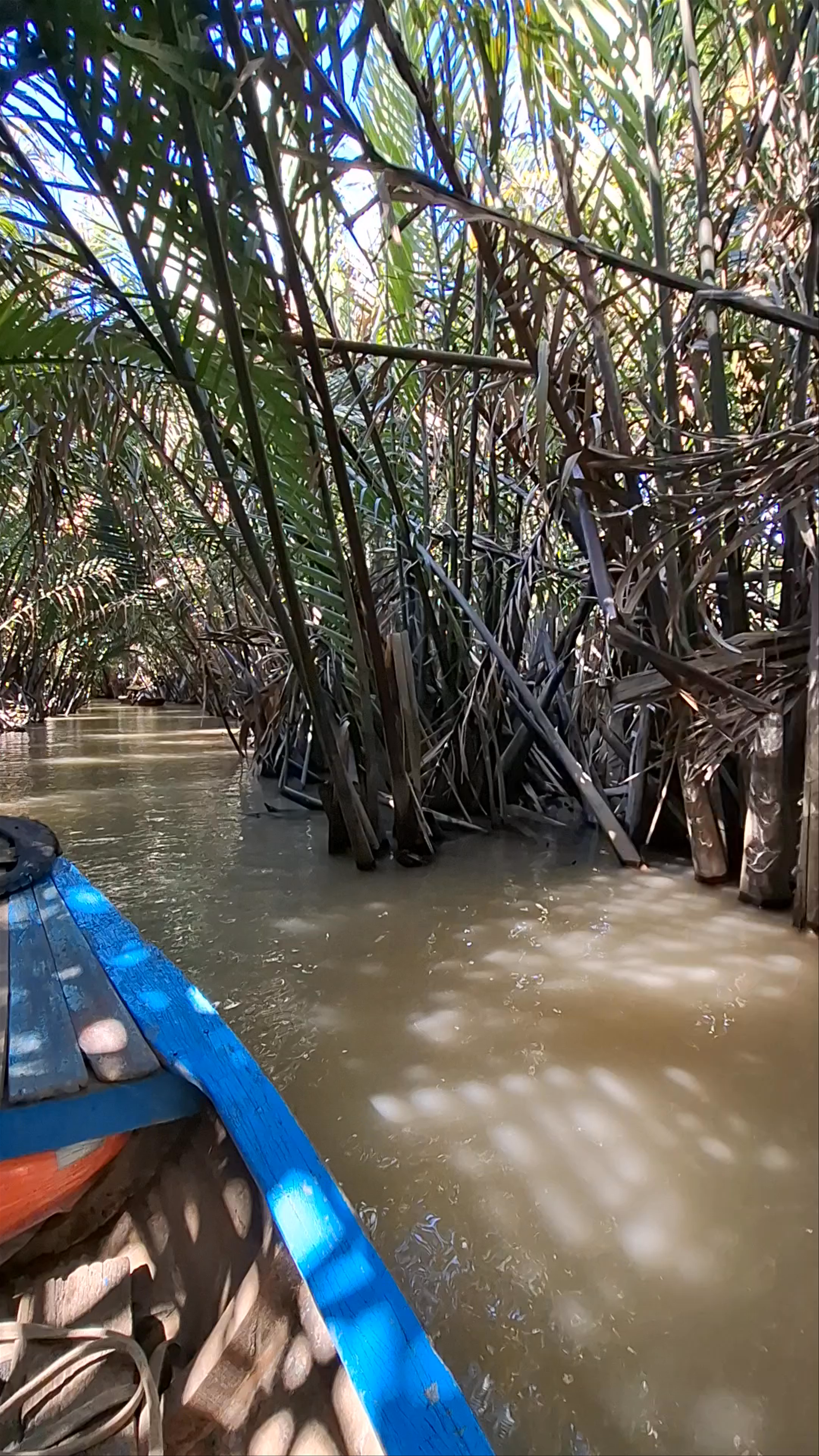 Mekong Delta River