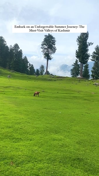 Photo of Embark on an Unforge