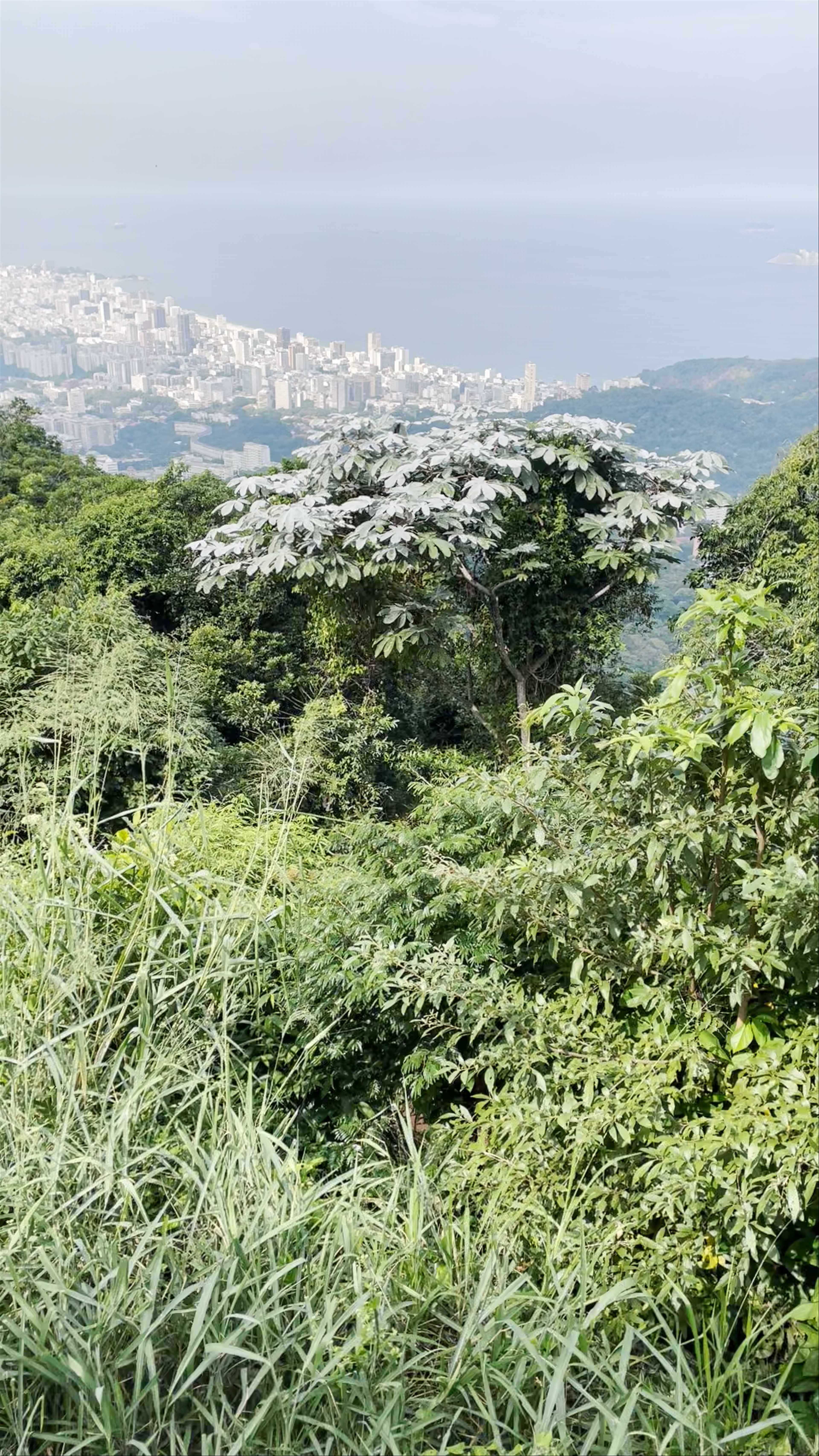 Vista Chinesa - Estrada da Vista Chinesa - Alto da Boa Vista