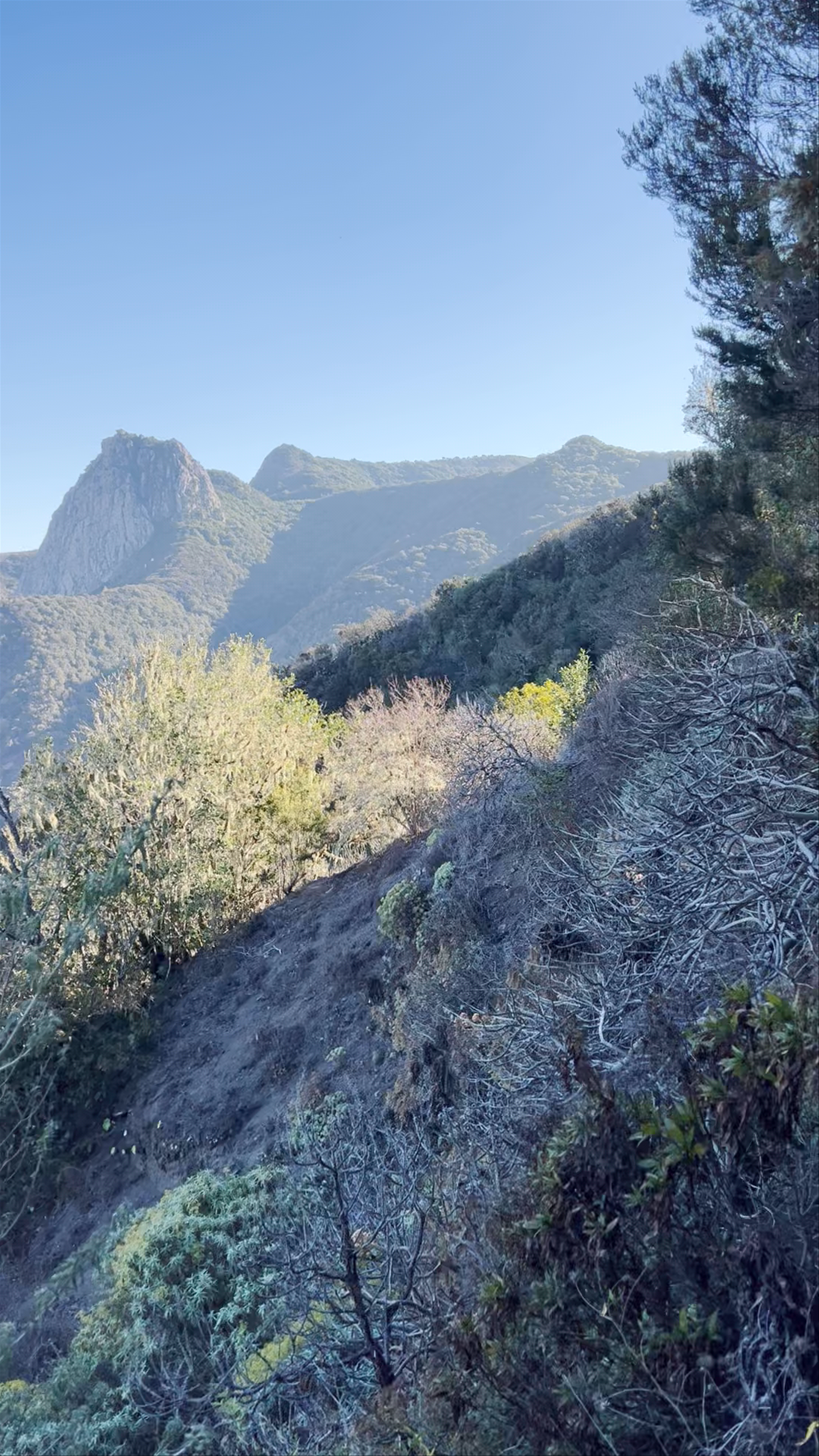 Mirador de Hermigua