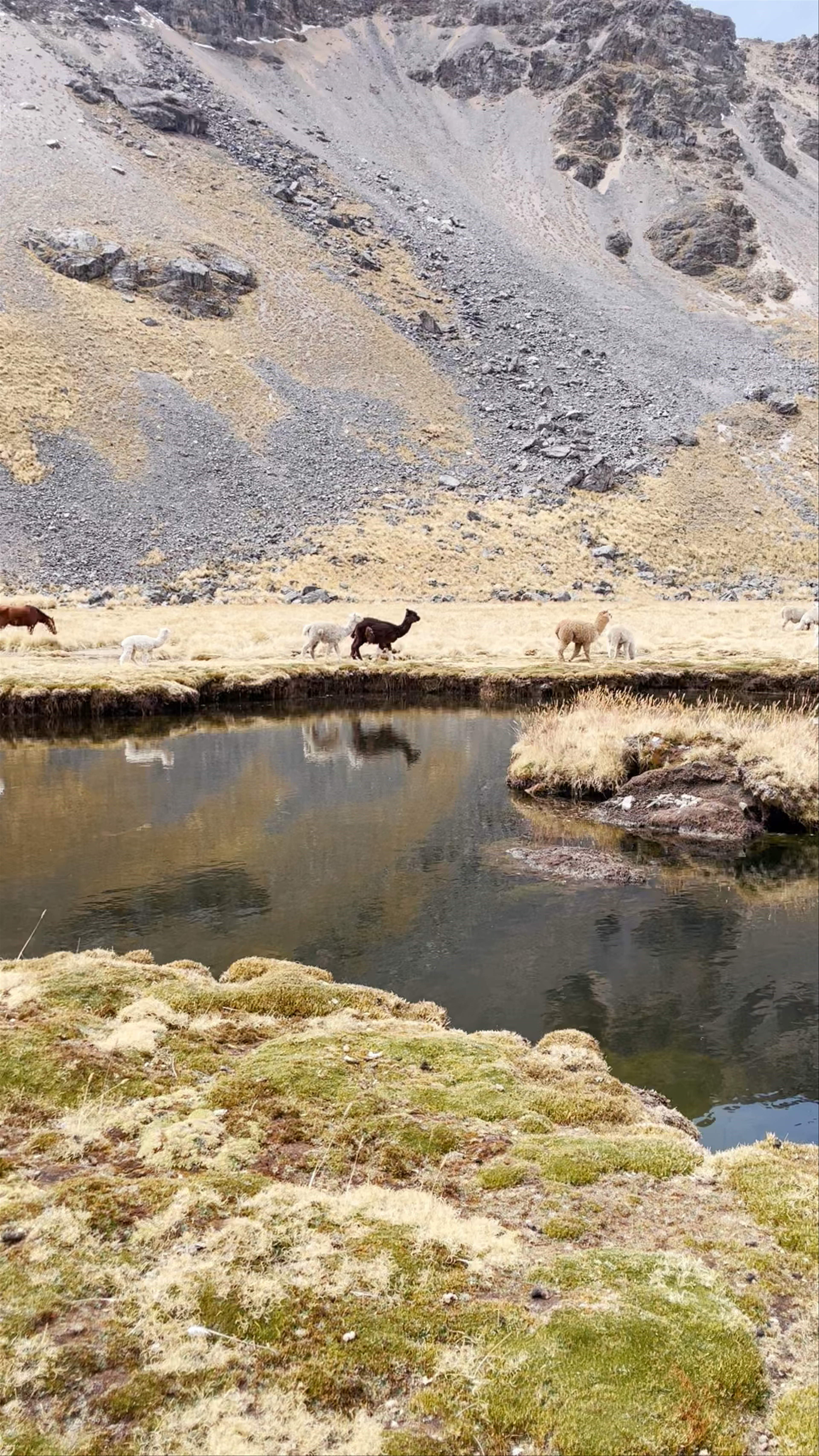 Mirador Chaupi Orco: Untouched Highland Serenity in Pajchanta, Peru
