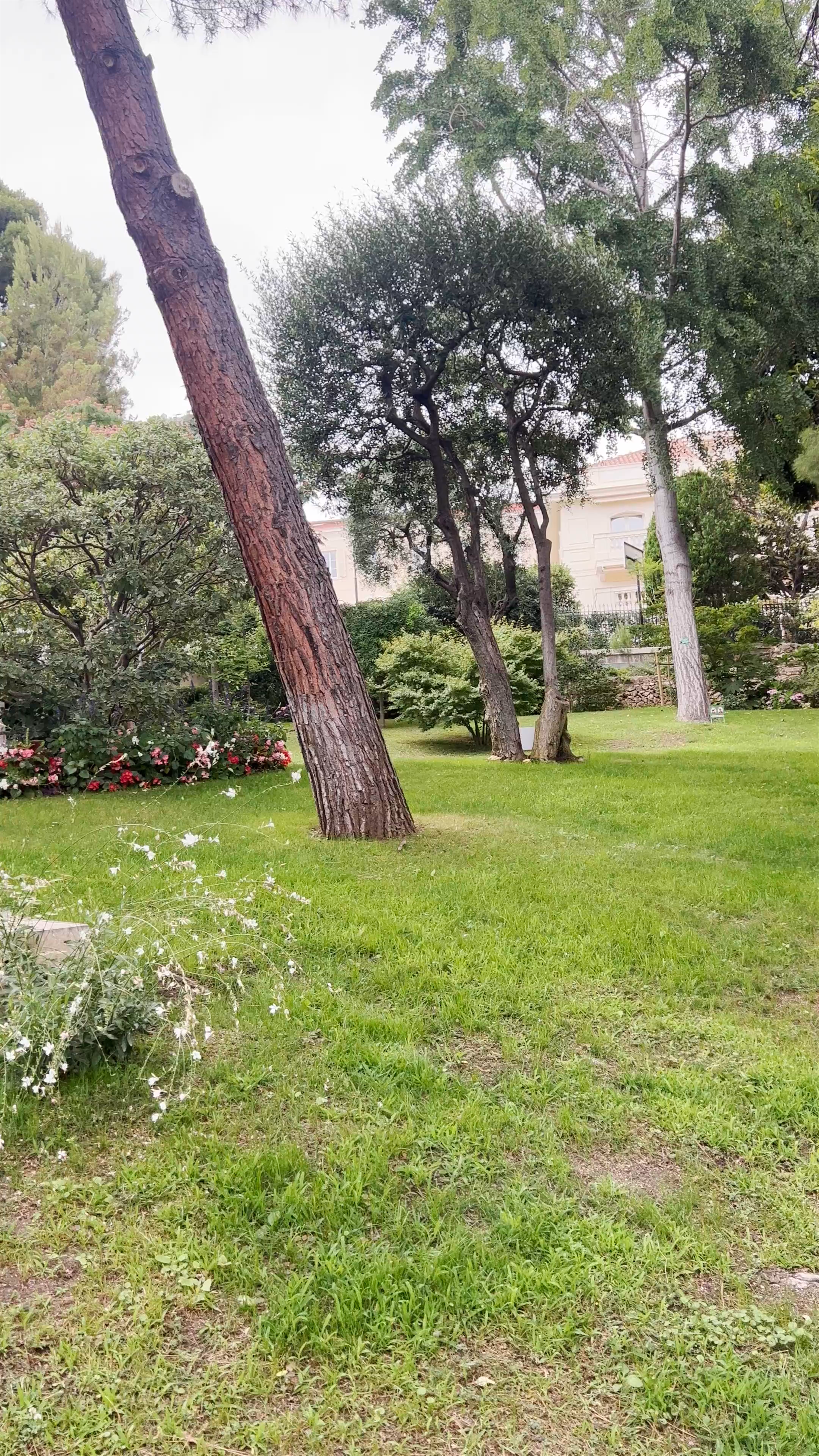 Saint-Martin Gardens: Serene Green Oasis in Monaco