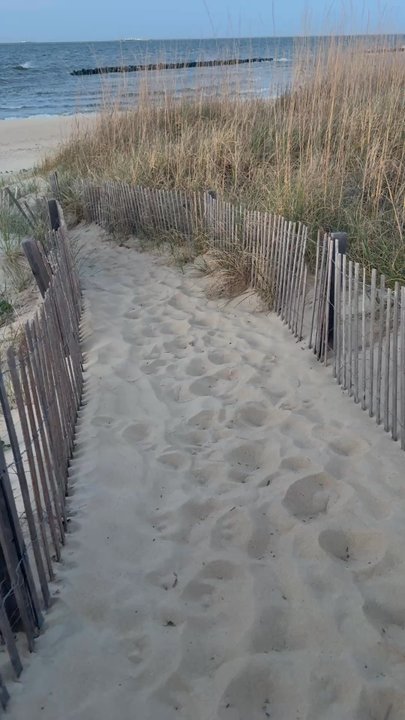 East Beach - Beaches Near Me - Norfolk, Virginia