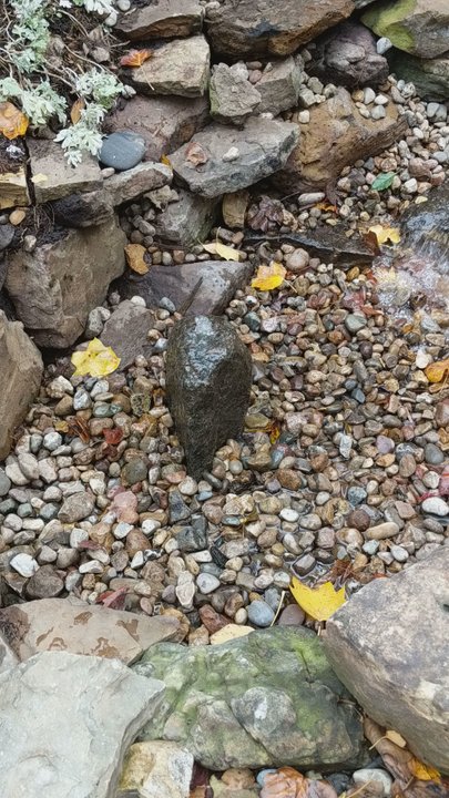 Gateway Aquatics - Local Fish Stores Near Me - Saint Louis, Missouri