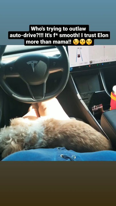 Tesla - Rocklin - #autopilot#4life - EV Charging Stations Near Me - Rocklin, California