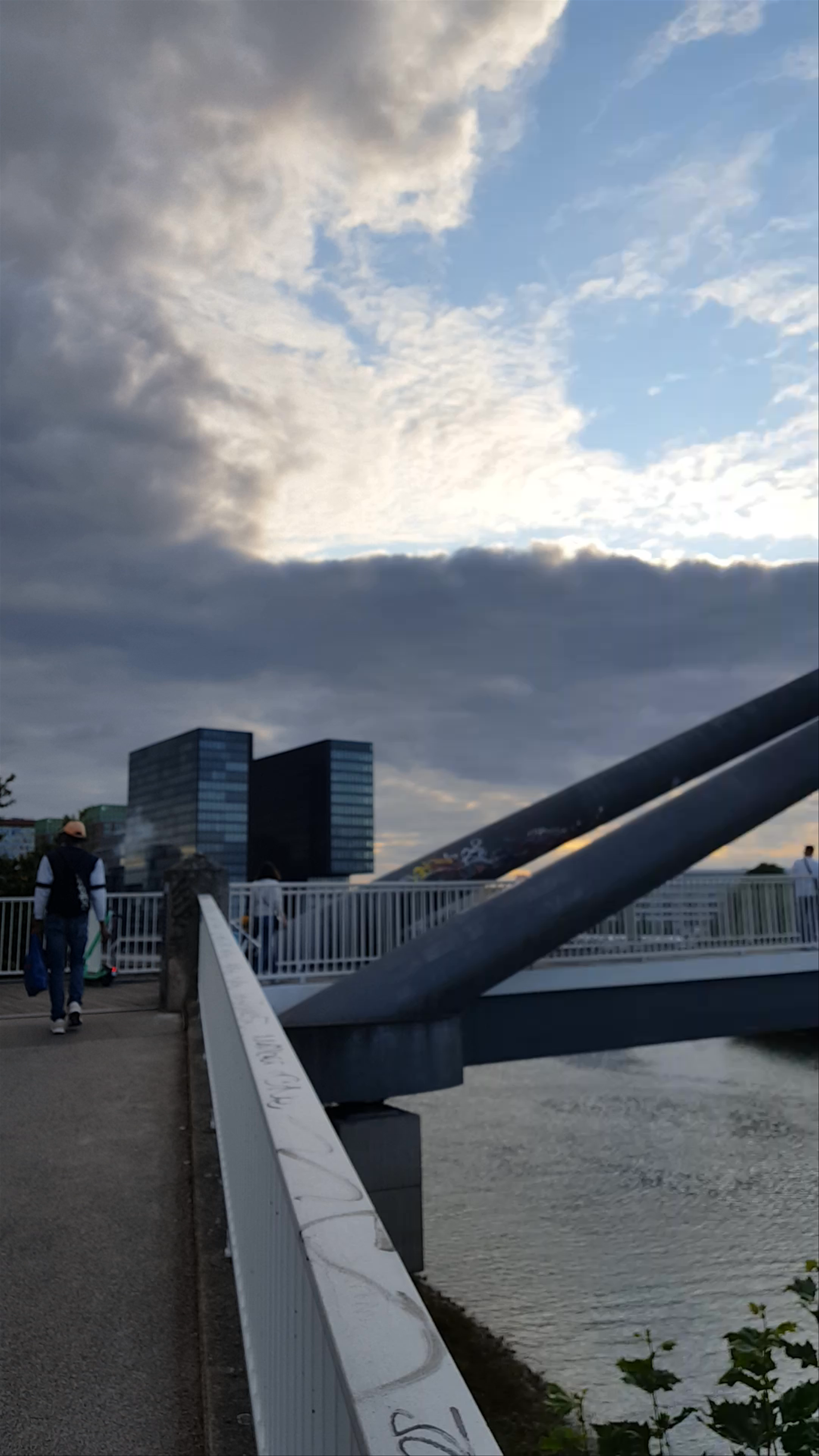 Rheinpark Golzheim: Golden Hour Serenity by the Rhine in Düsseldorf
