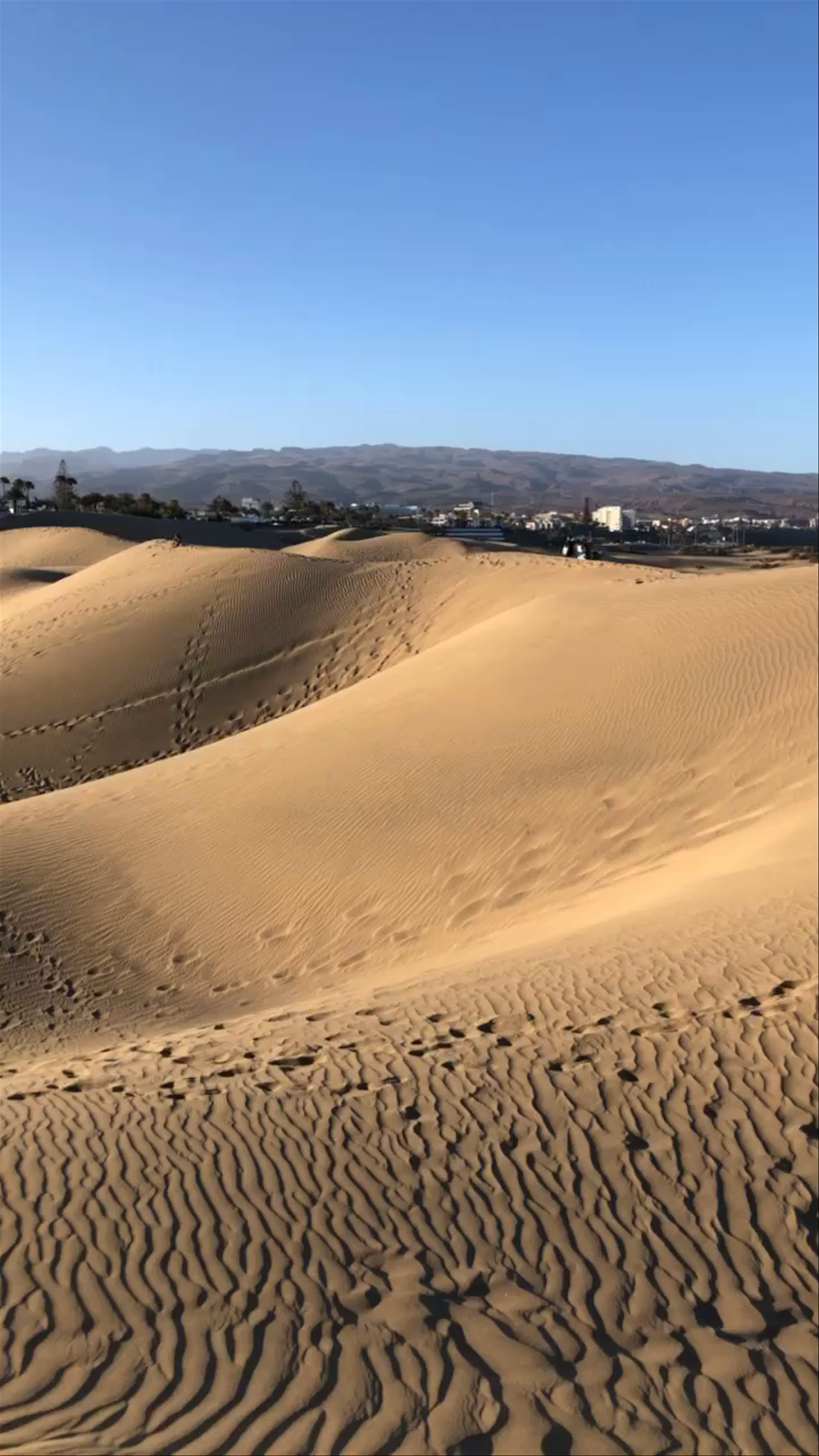 Dunas de Maspalomas: Majestic Sand Dunes in the Canary Islands
