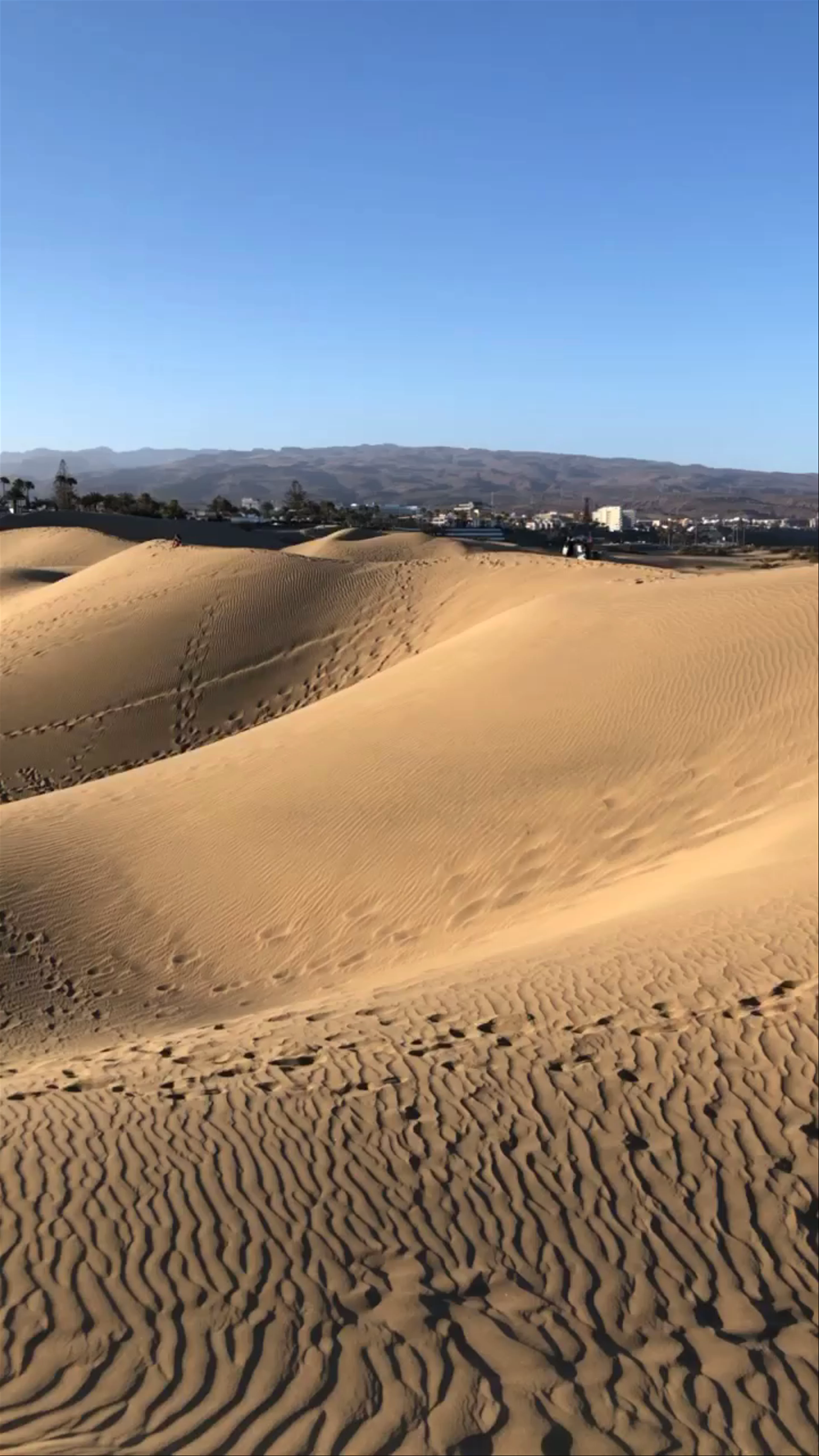 Reserva Natural Especial de Las Dunas de Maspalomas