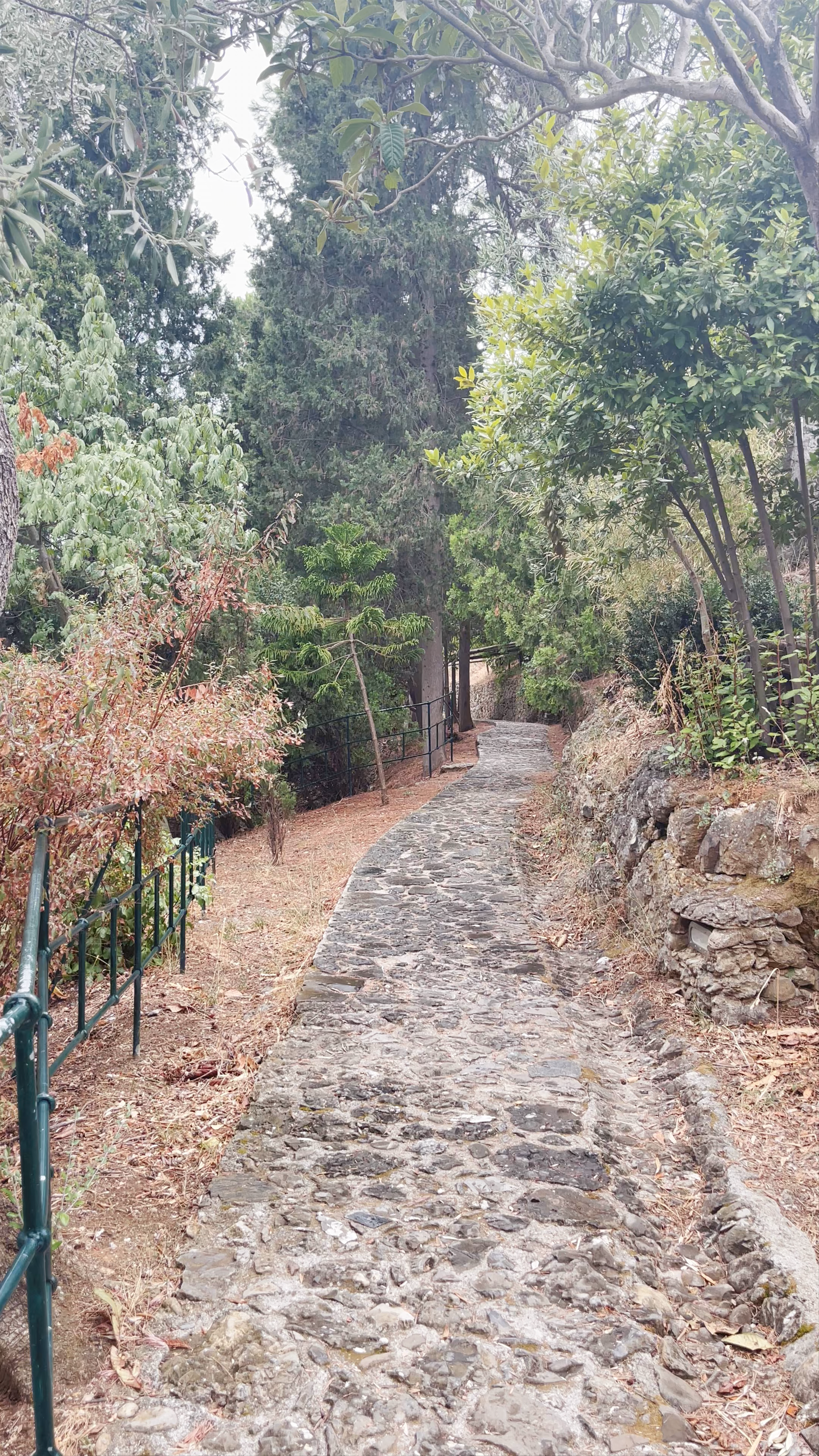 Parco Naturalistico