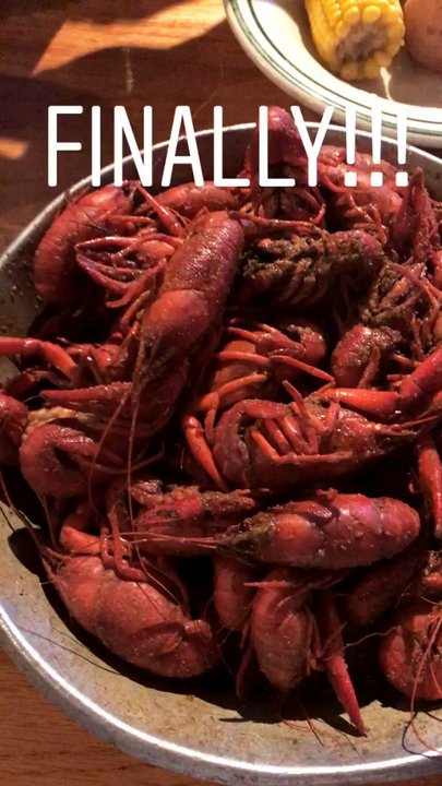 Floyds Seafood - Webster - Crawfish season has begun friends! - Cajun/Creole Near Me - Webster, Texas