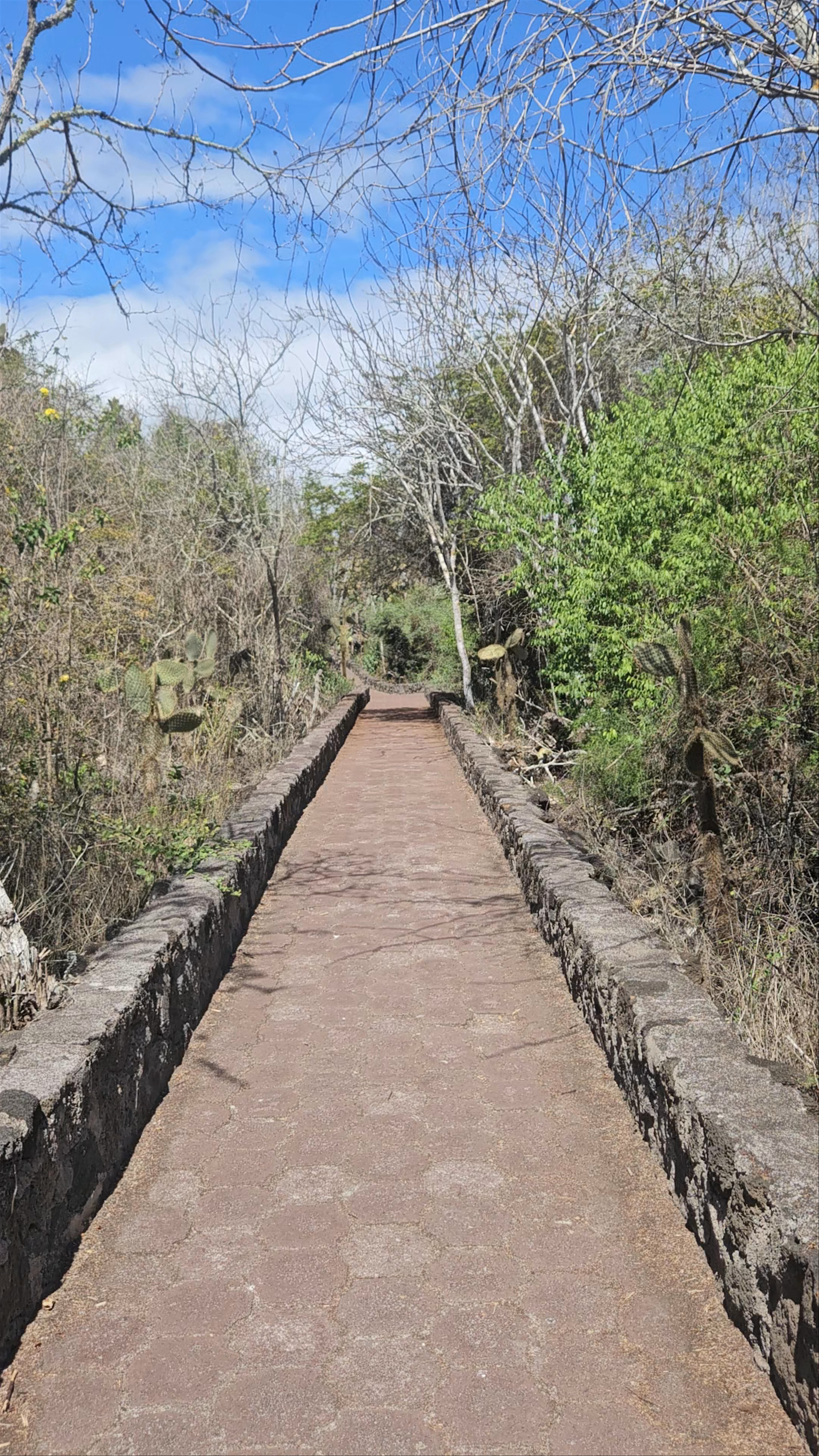 Centro de Energia Renovable