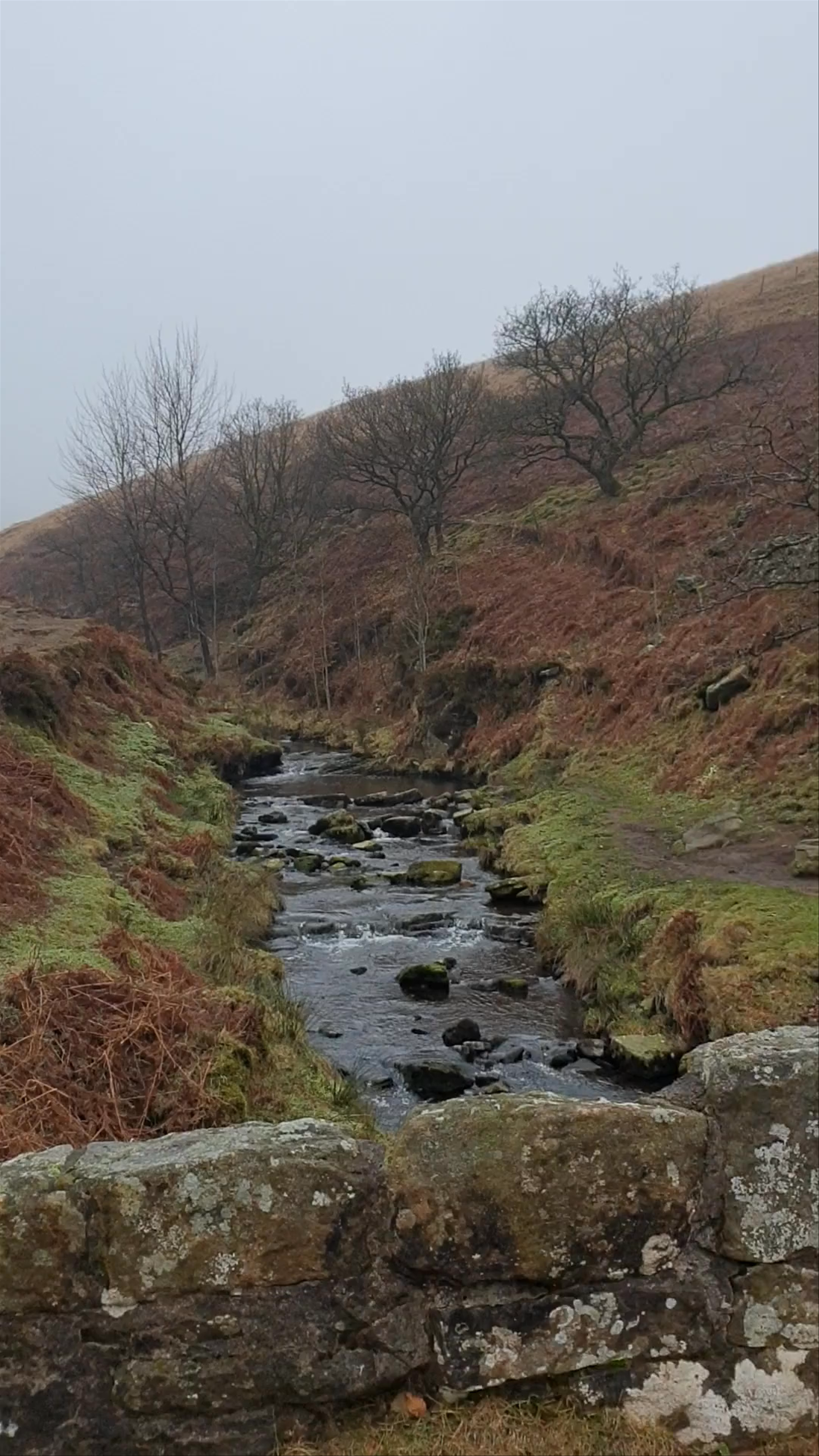 Winter Stream Walk at Three Shires Head, Buxton