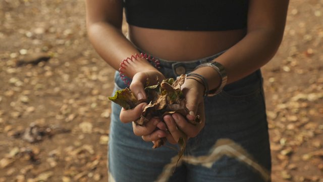 Girl holding leaves