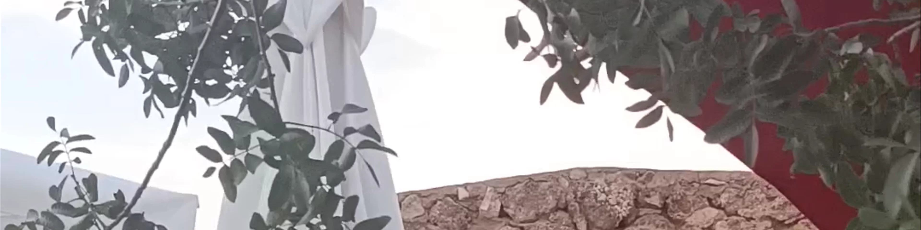 Aloha Letur