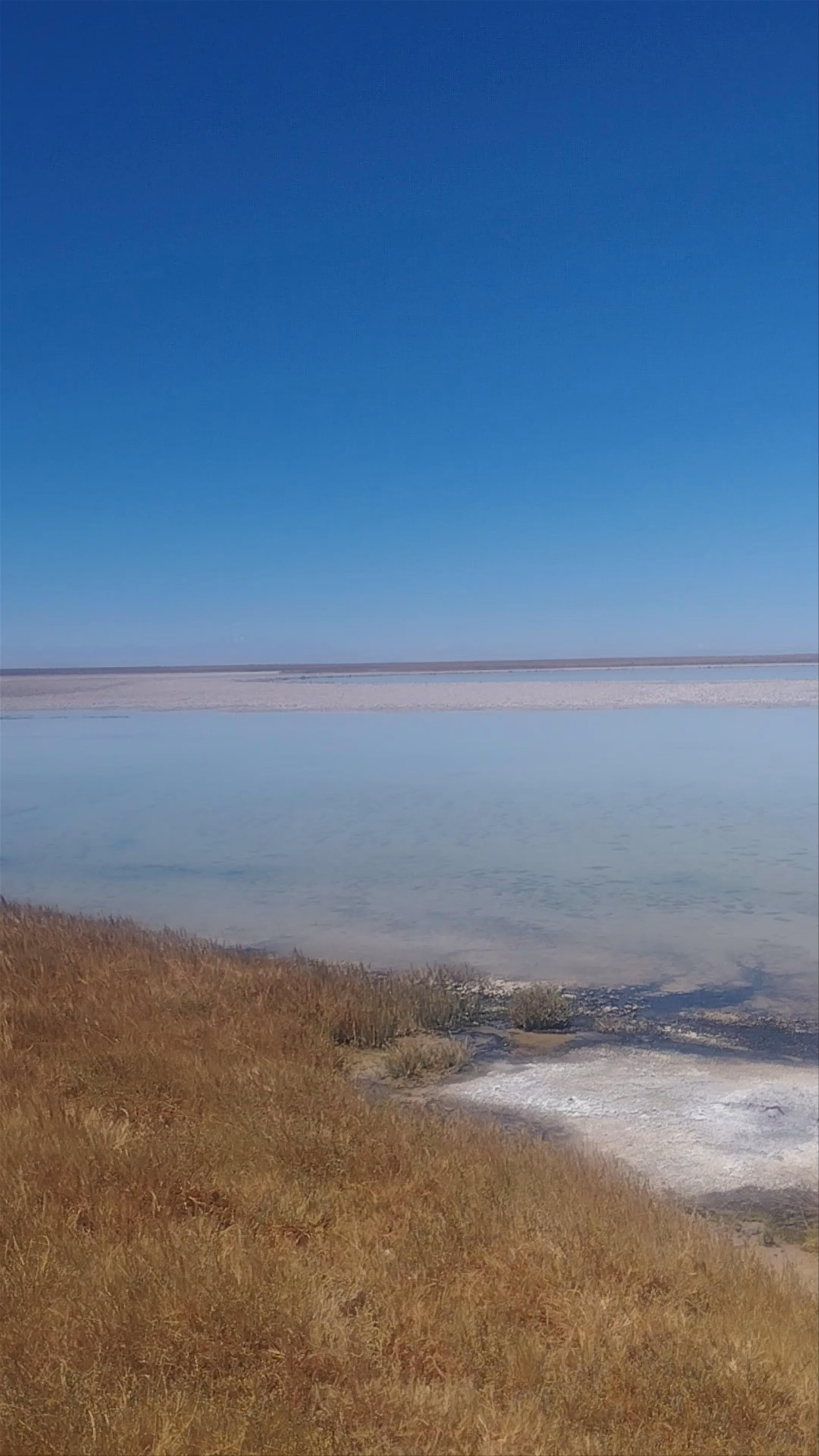 Laguna Cejar: Tranquil Salt Lake Escape in San Pedro de Atacama