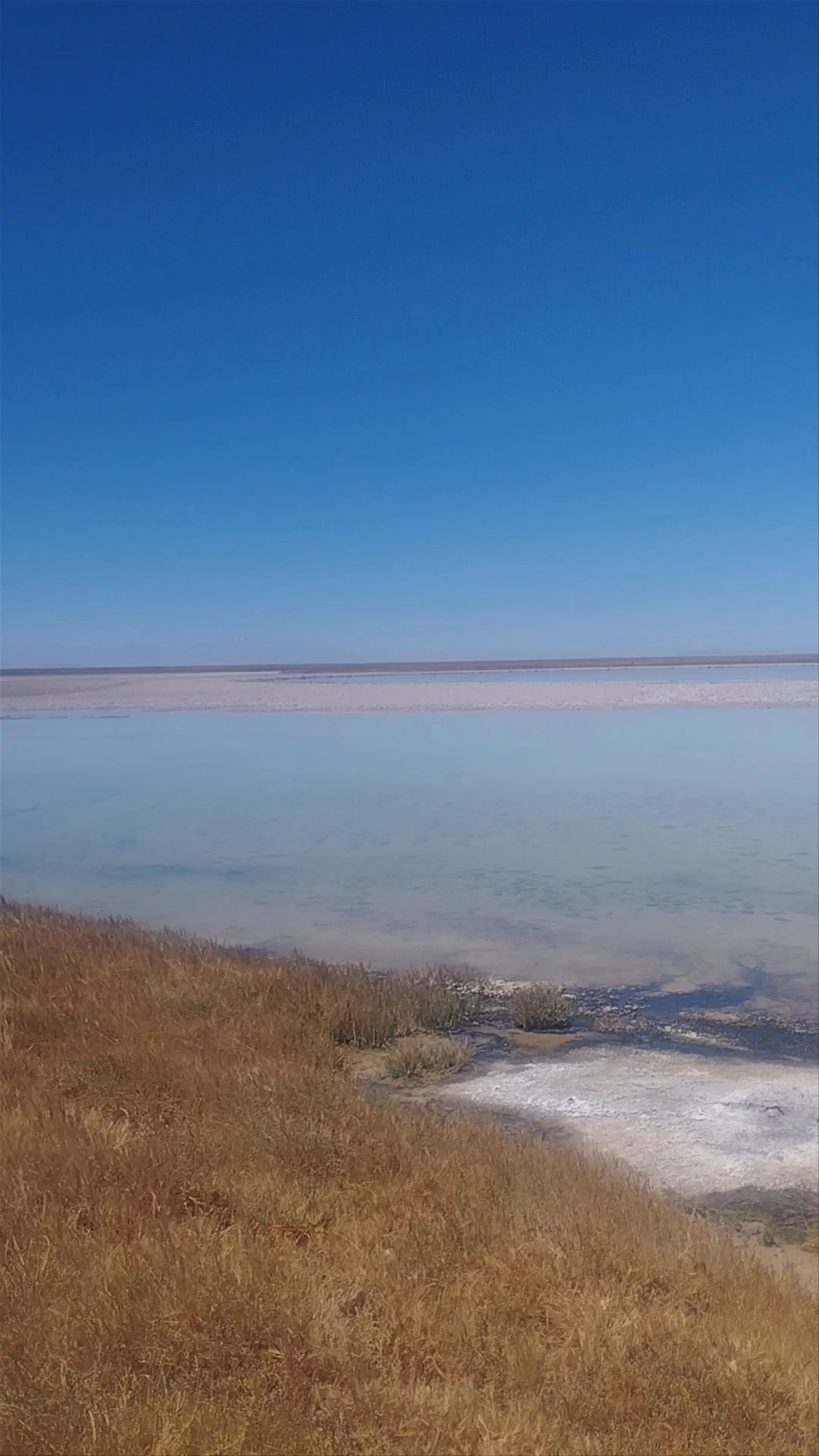 Laguna Cejar