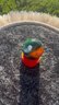 Small image 6