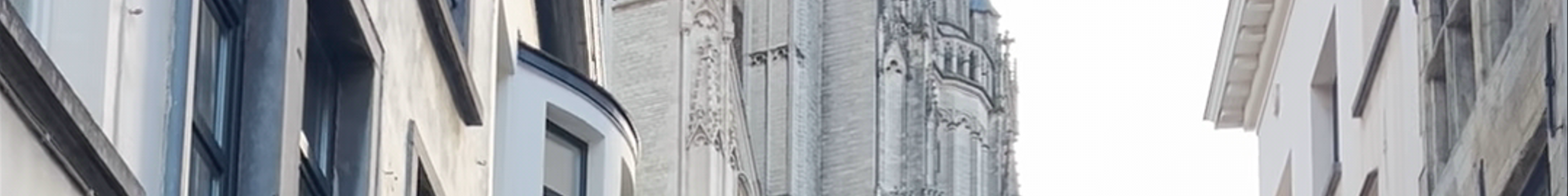 Tours & experiences in Antwerpen