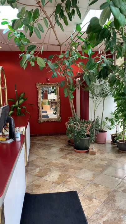 Society Cleaners - Sewing & Alterations Near Me - Reno, Nevada