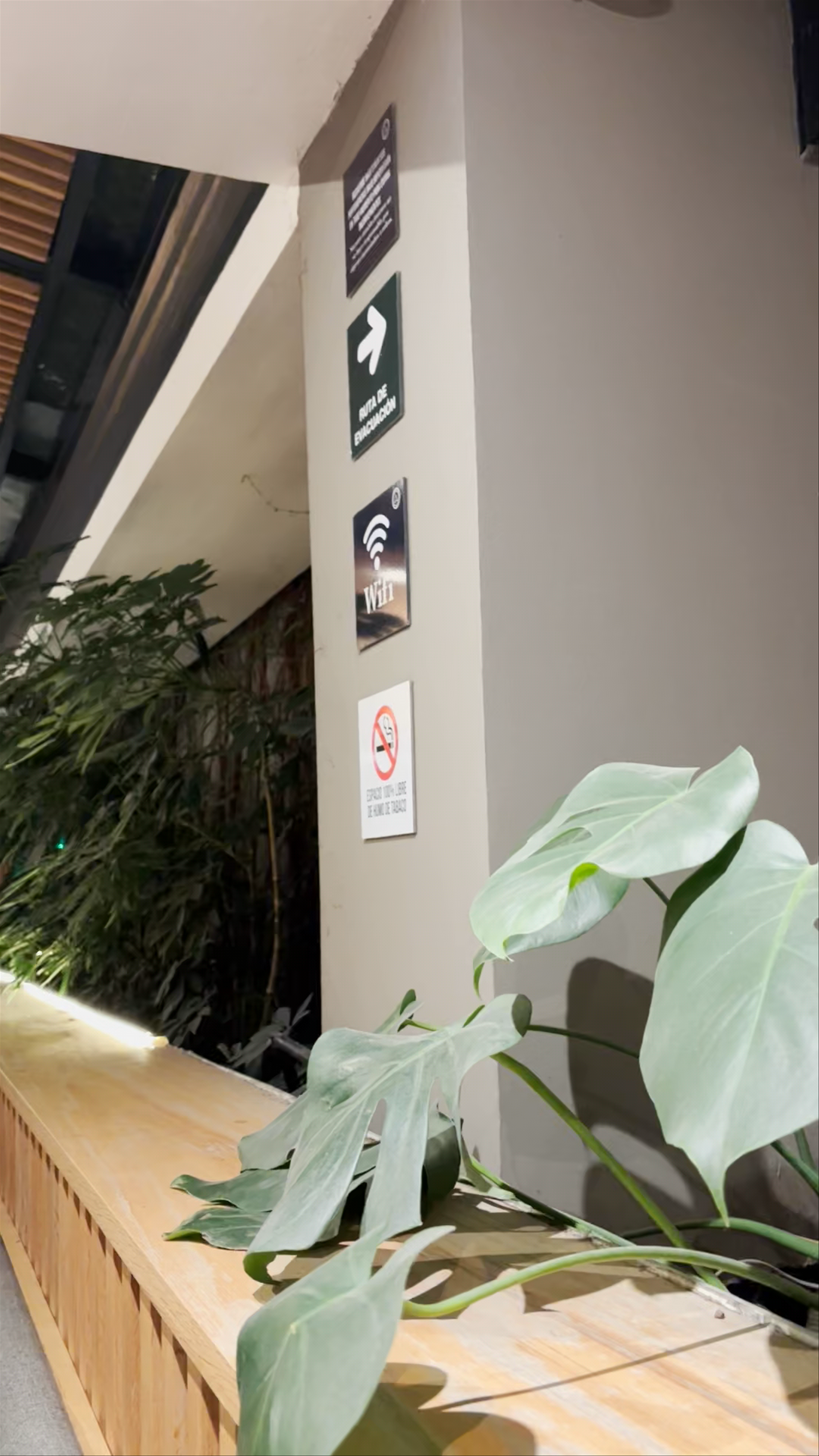 Libertario Coffee Roasters - Roma Norte