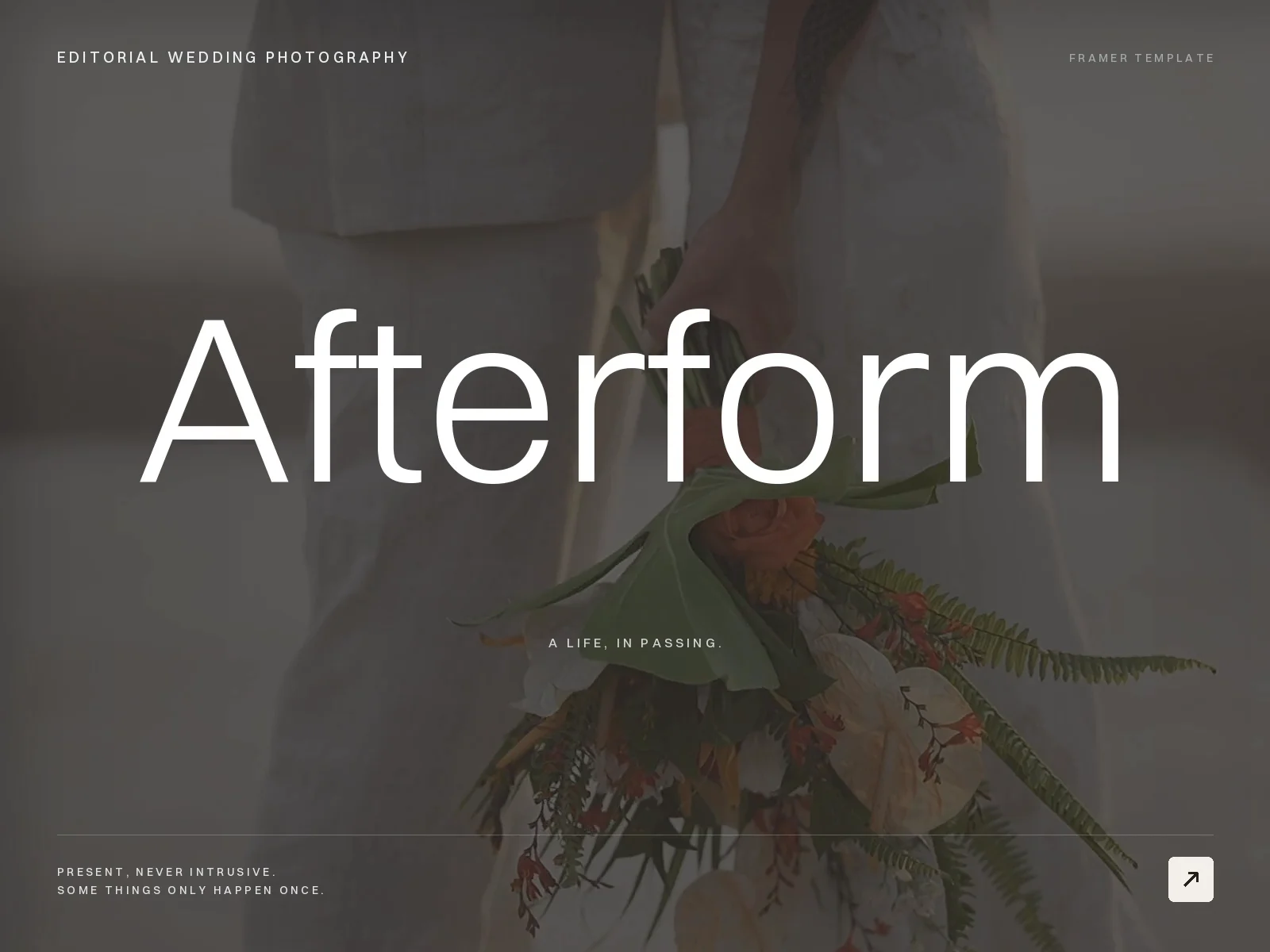 Wedding Photo Studio