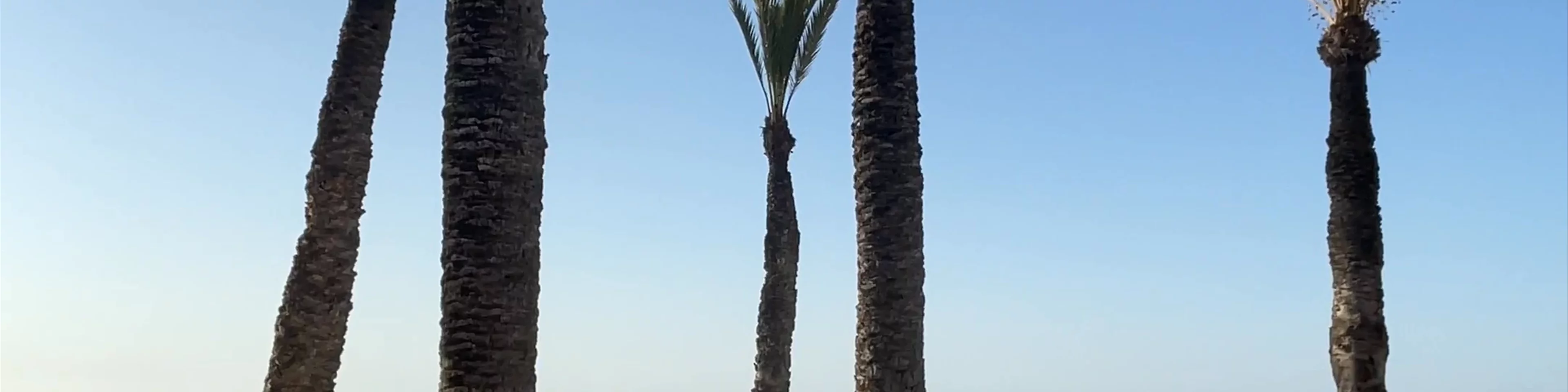 Benidorm