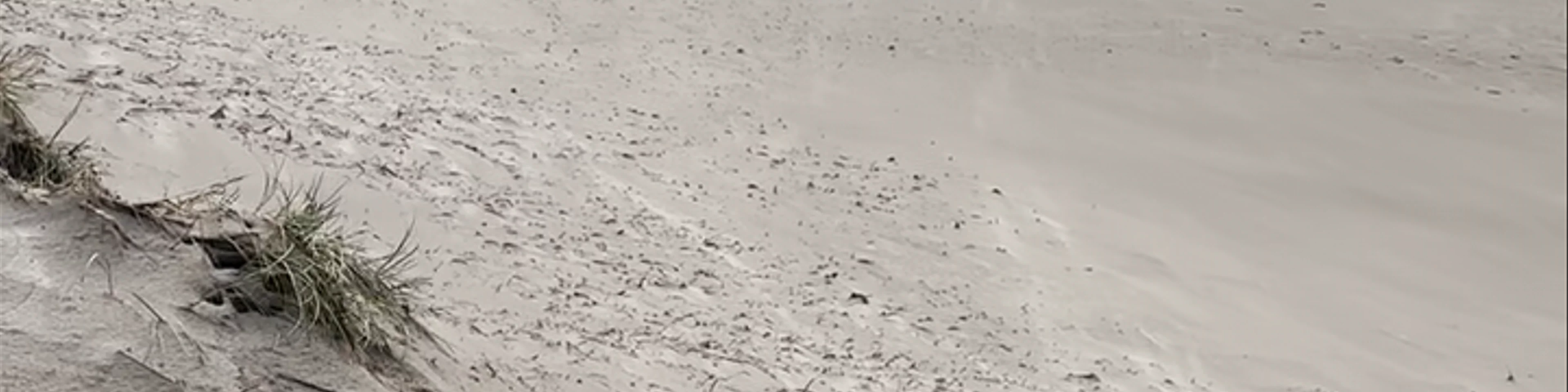 Cannon beach