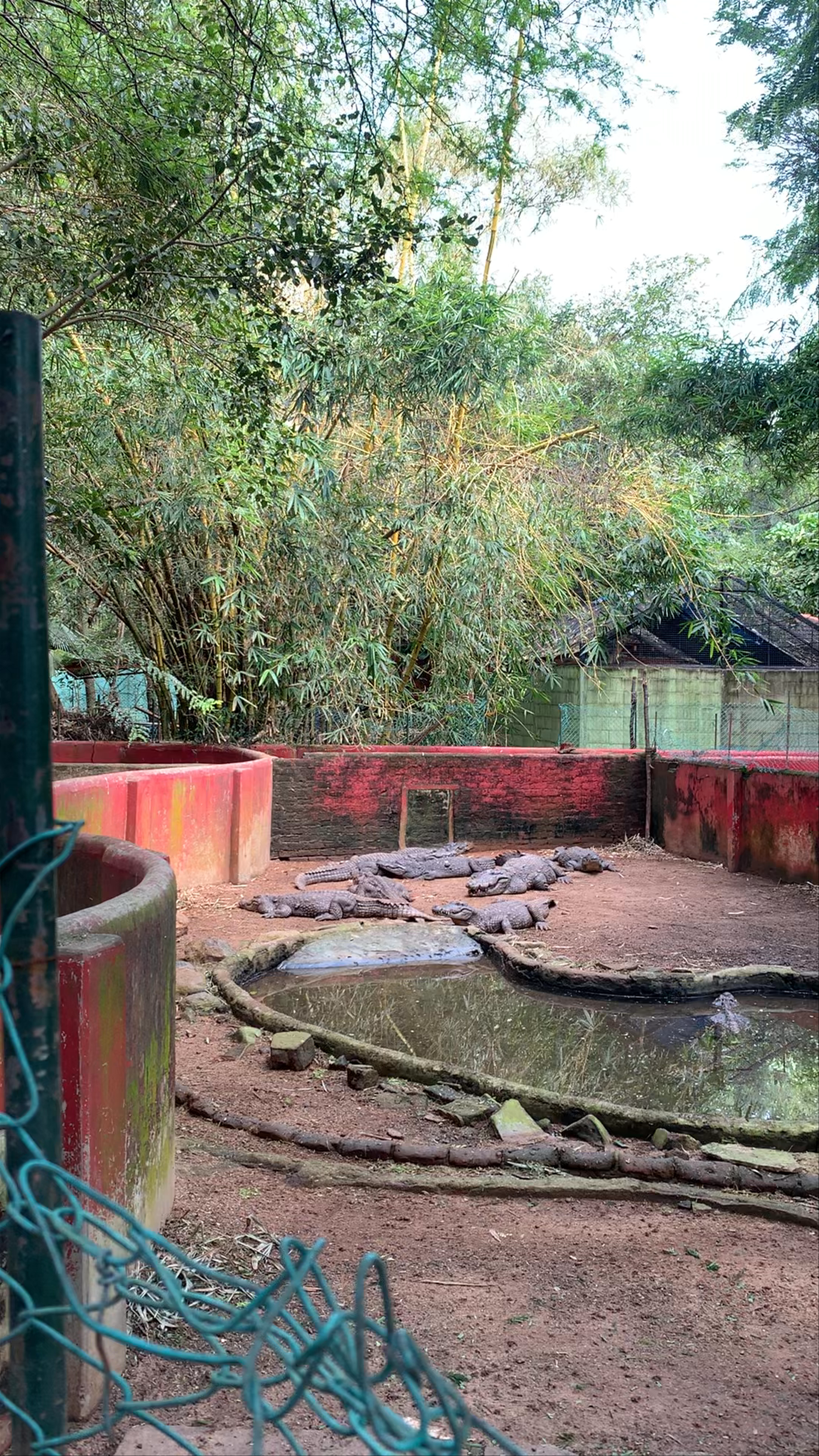 Chennai Snake Park