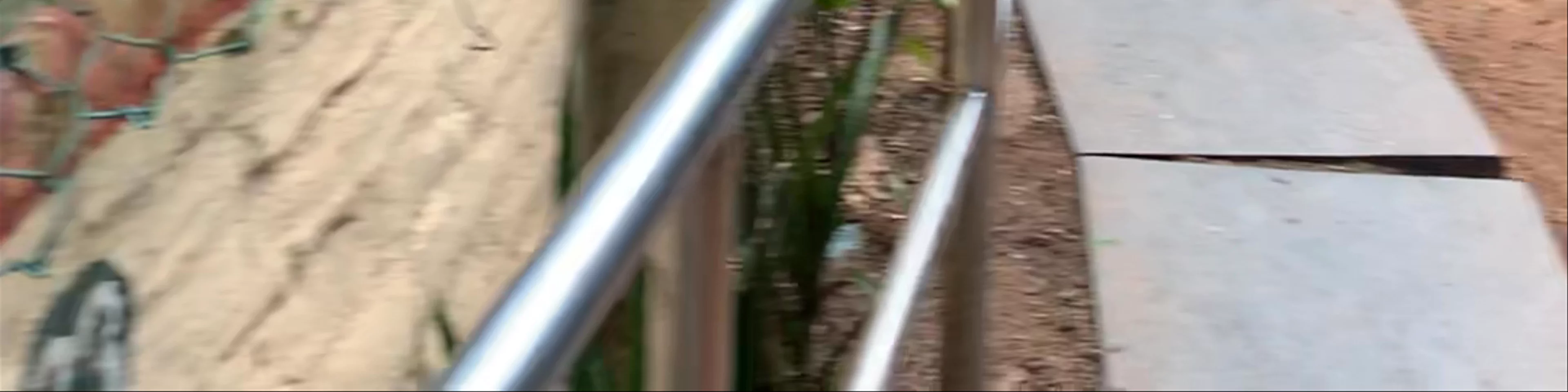 Chennai Snake Park