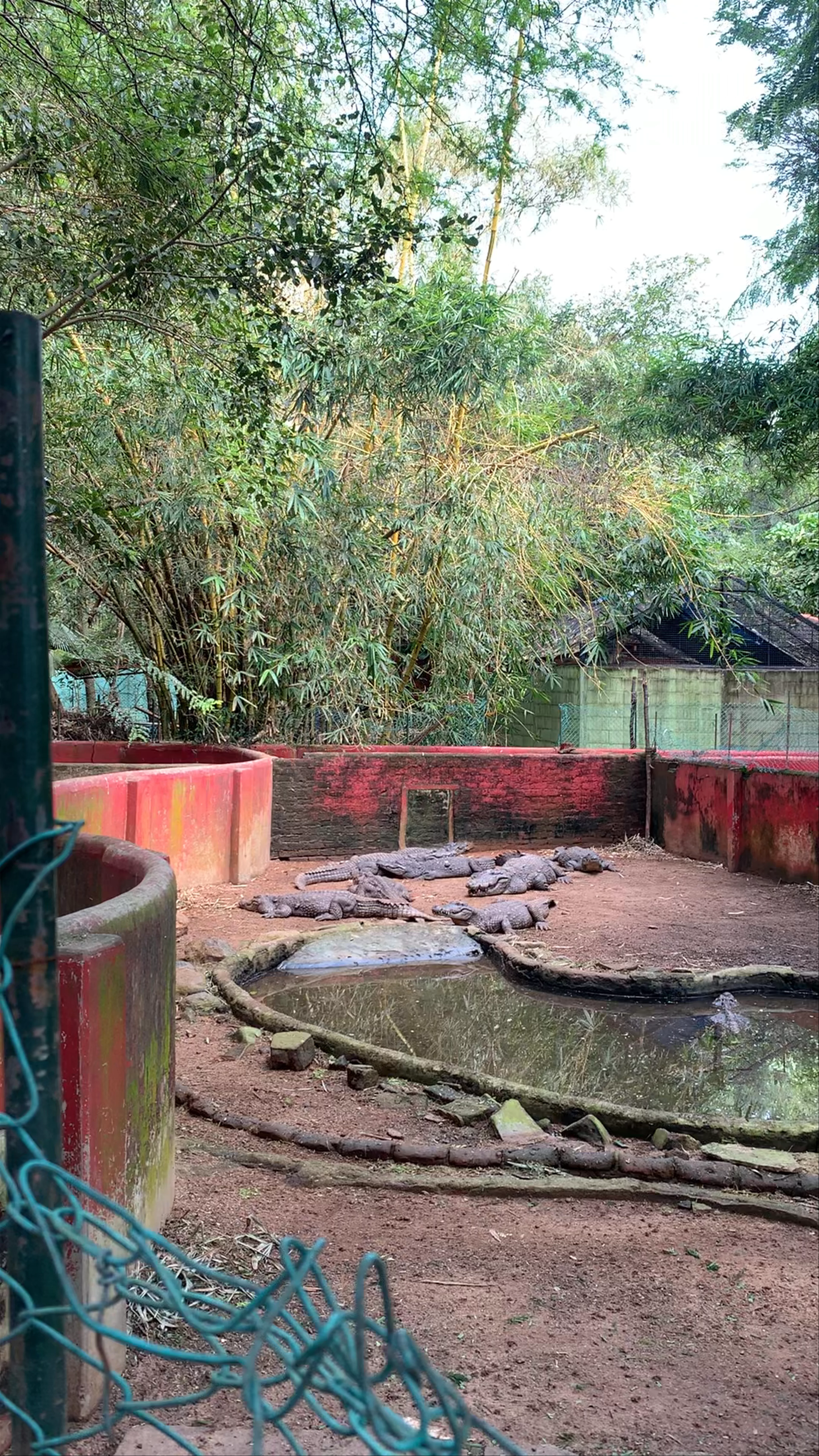 Chennai Snake Park, Guindy National Park