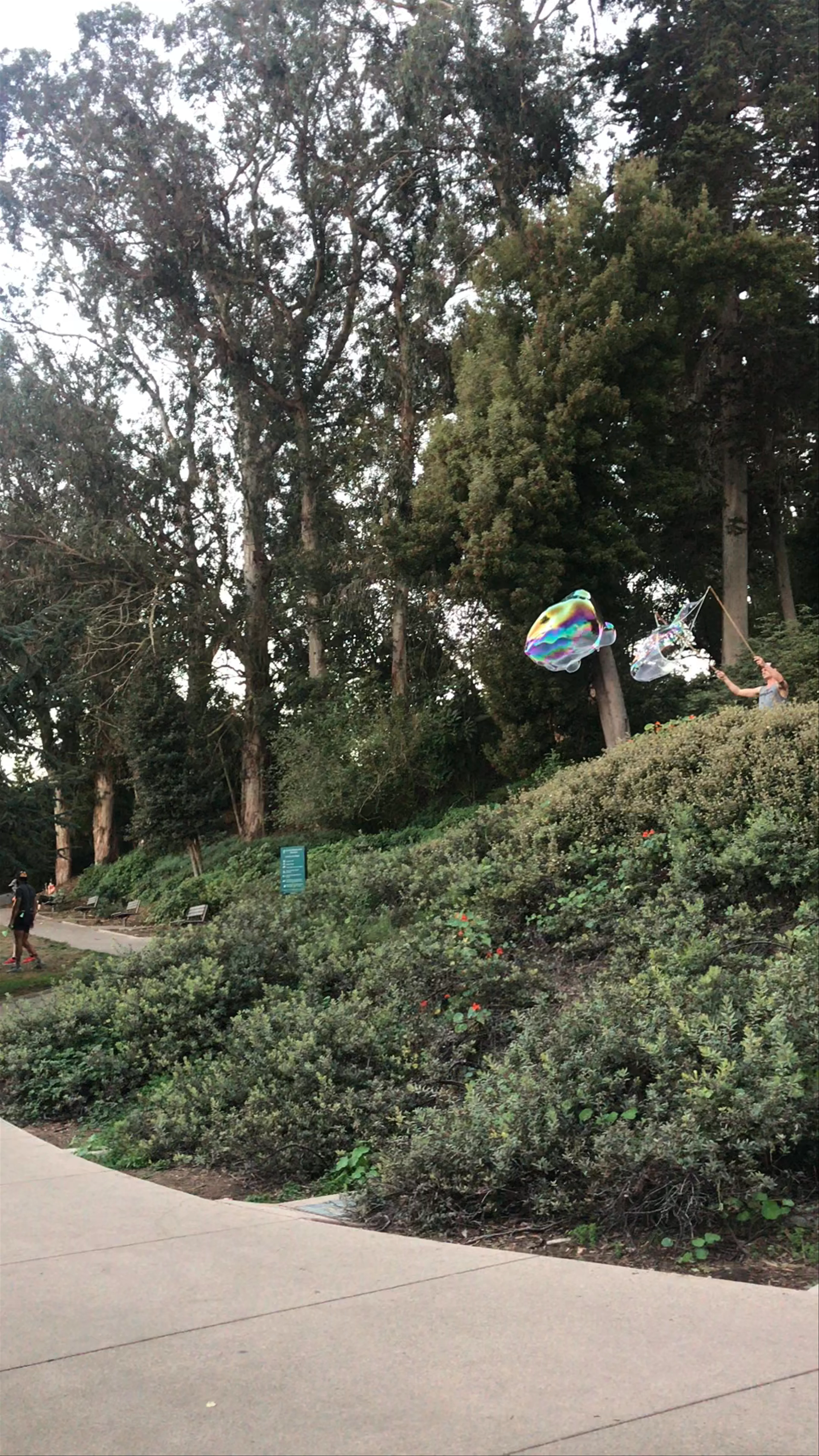 Lafayette Park