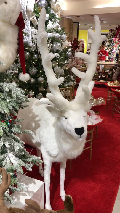 Neiman Marcus - Household department 2019 - Shoe Stores Near Me - Atlanta, Georgia