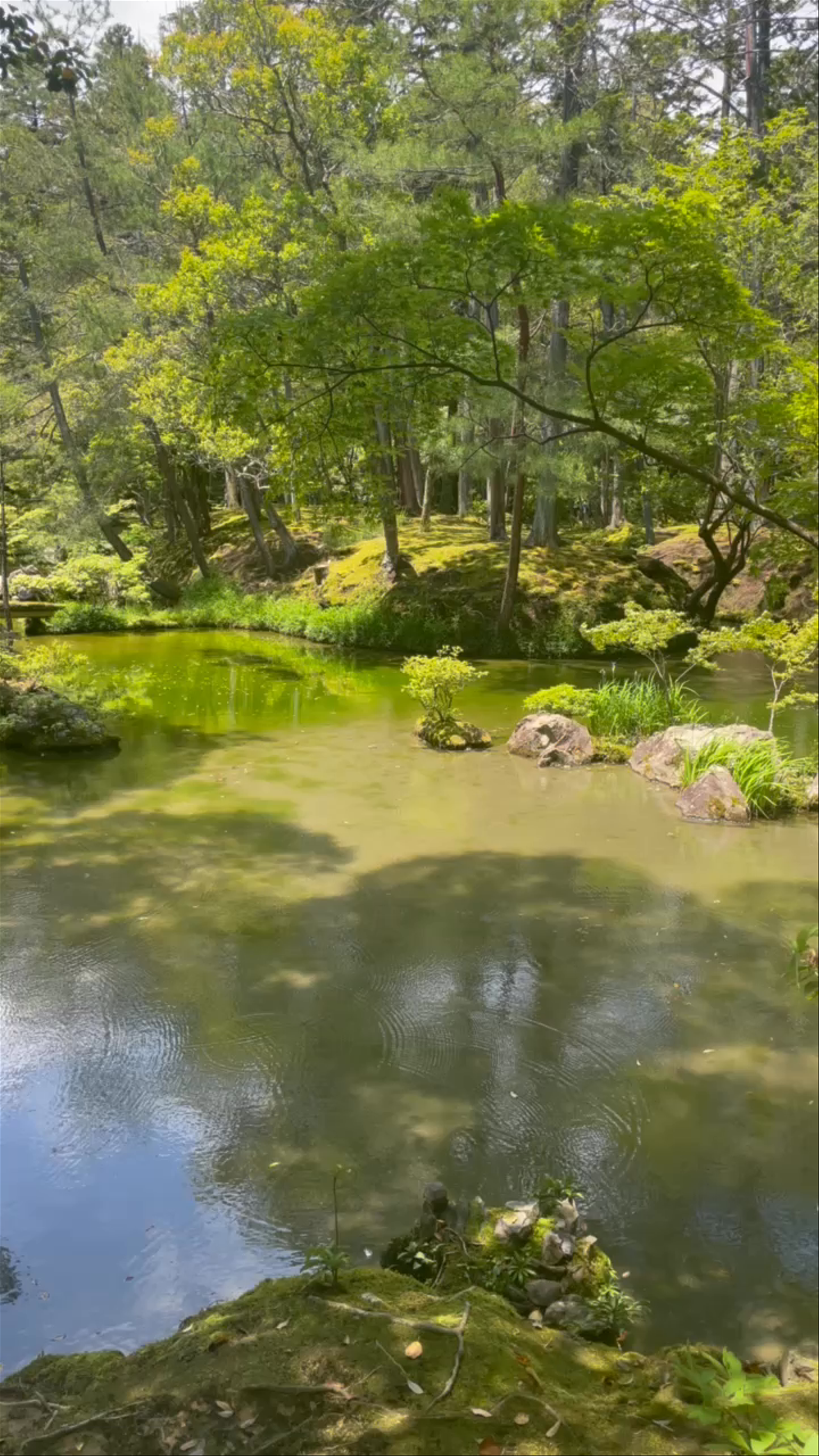 Saihō-ji (Koke-dera) Temple