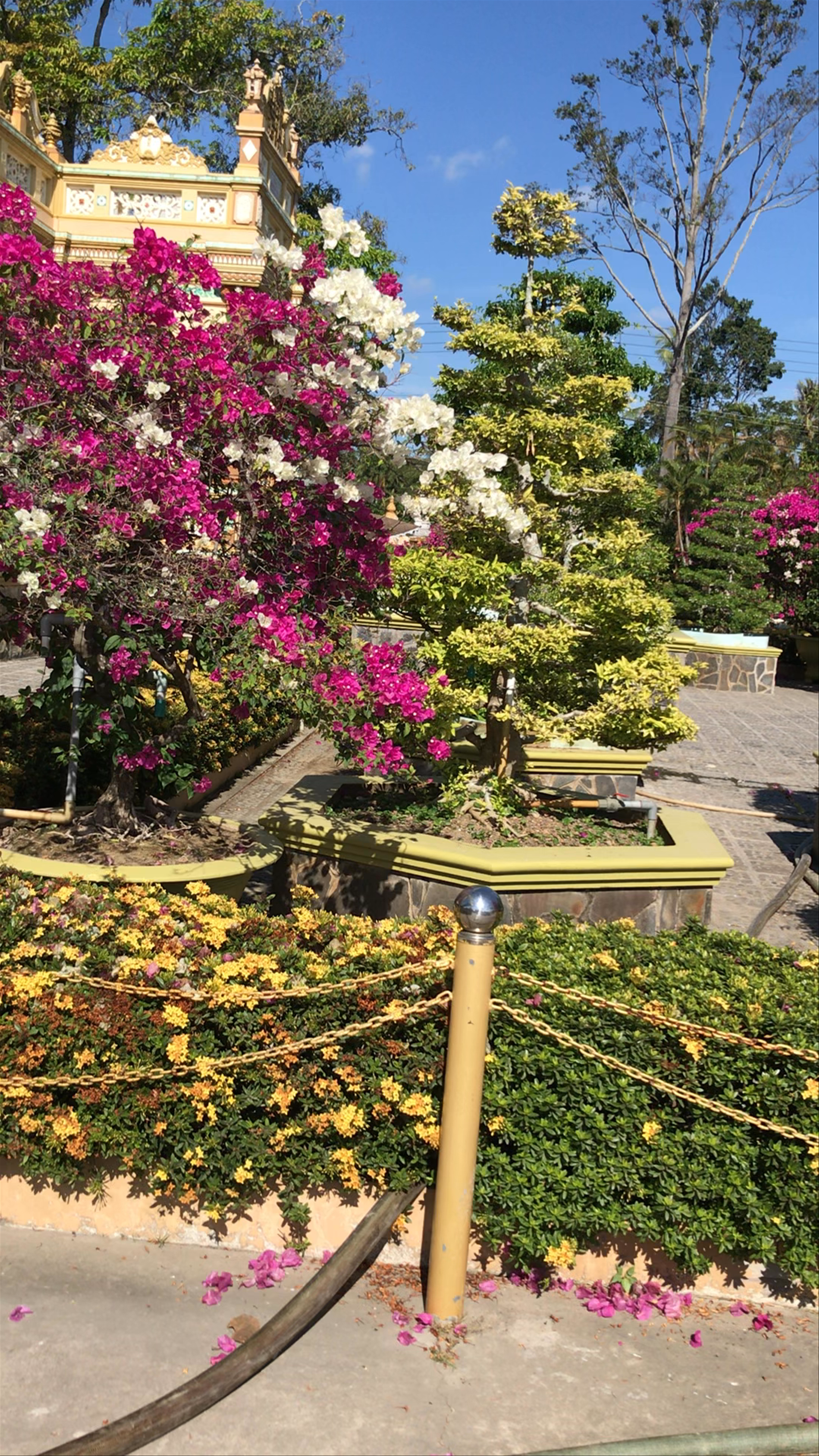 Vinh Trang Pagoda: Tranquil Spiritual Sanctuary in Mỹ Tho, Vietnam