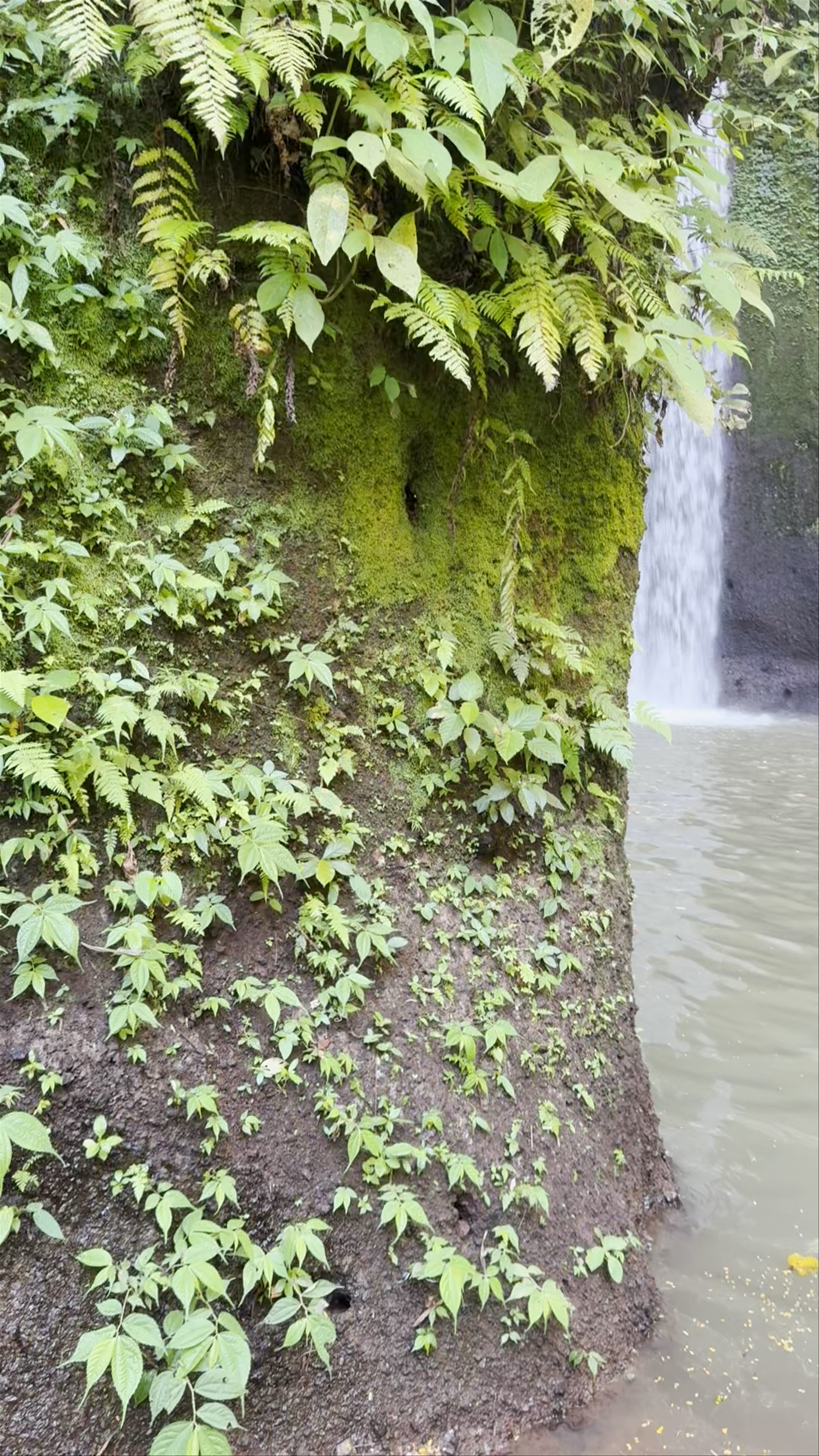 Tibumana Waterfall