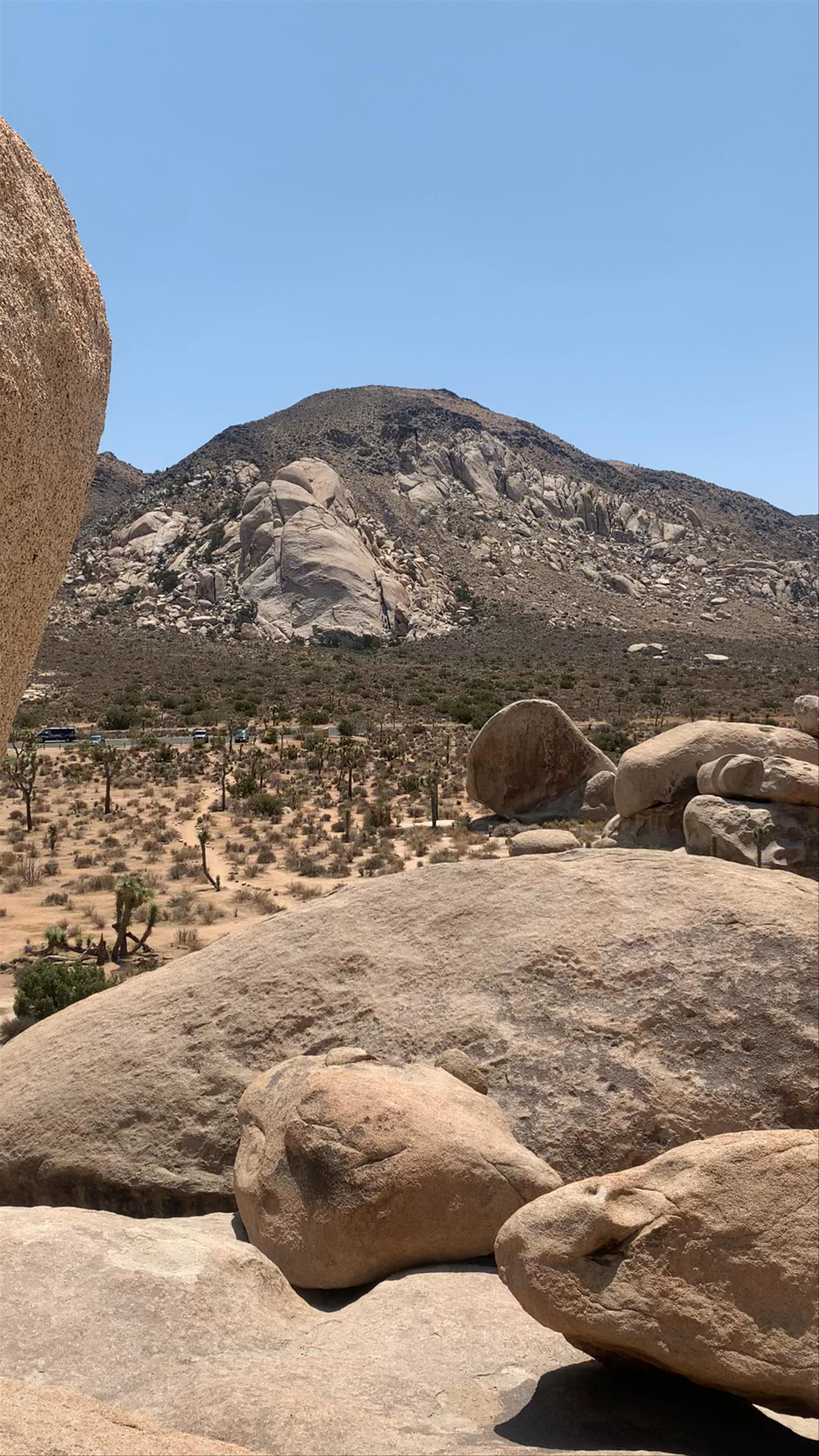 Hall of Horrors Trail/Rock