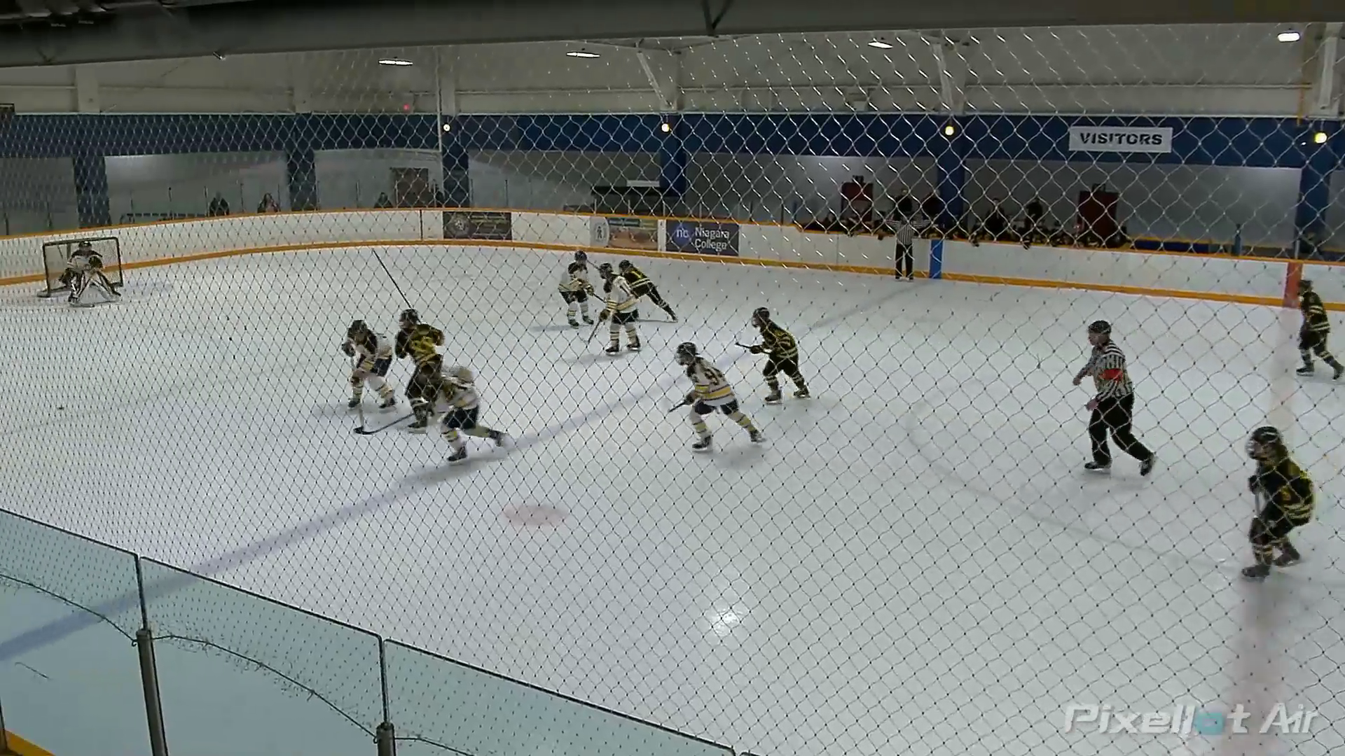 Olivia De Caria's January Highlights | Stoney Creek Sabres U18 AA