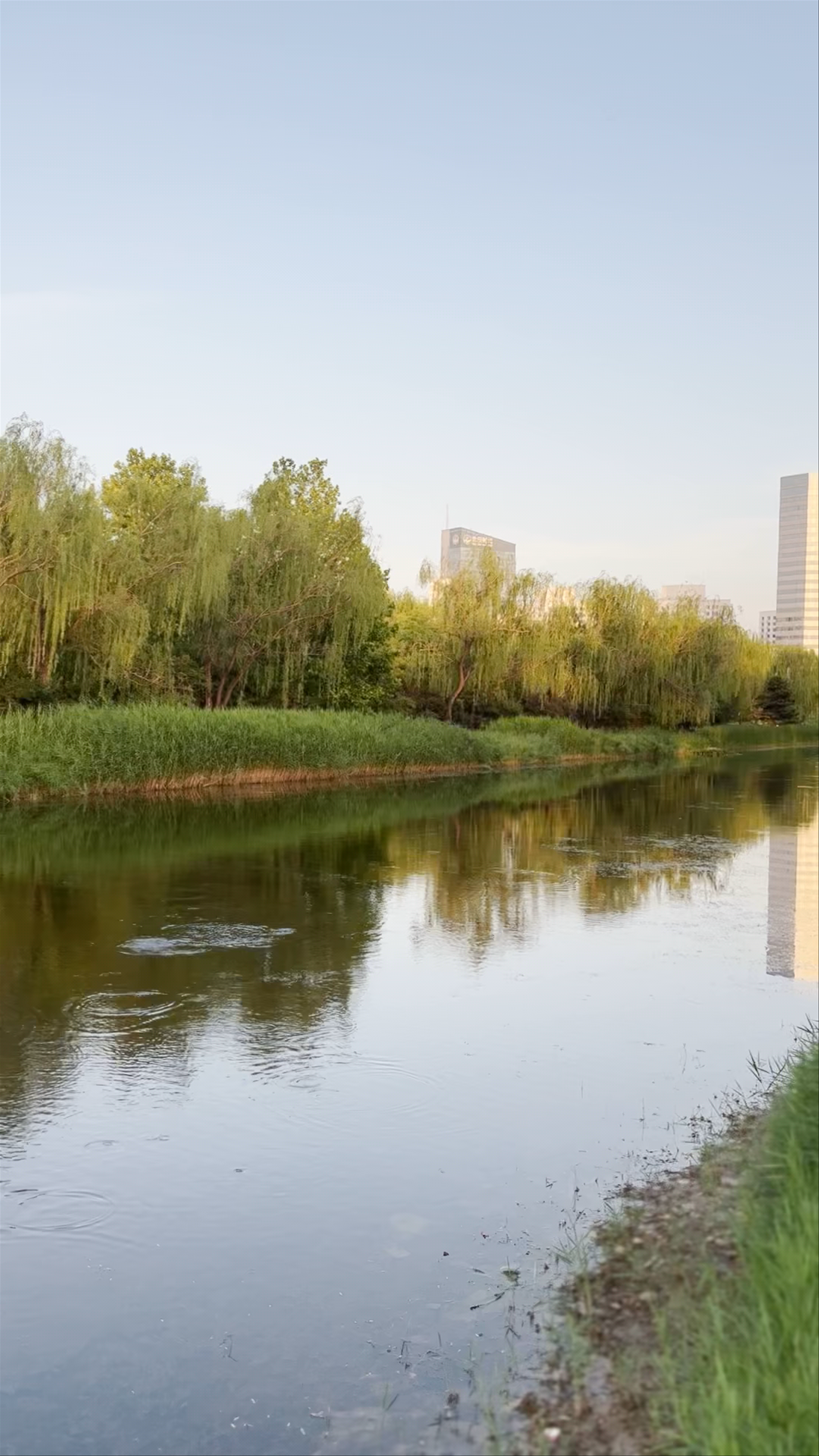 Serene Lakeside Walk at Olympic Forest Park South Gate, Beijing